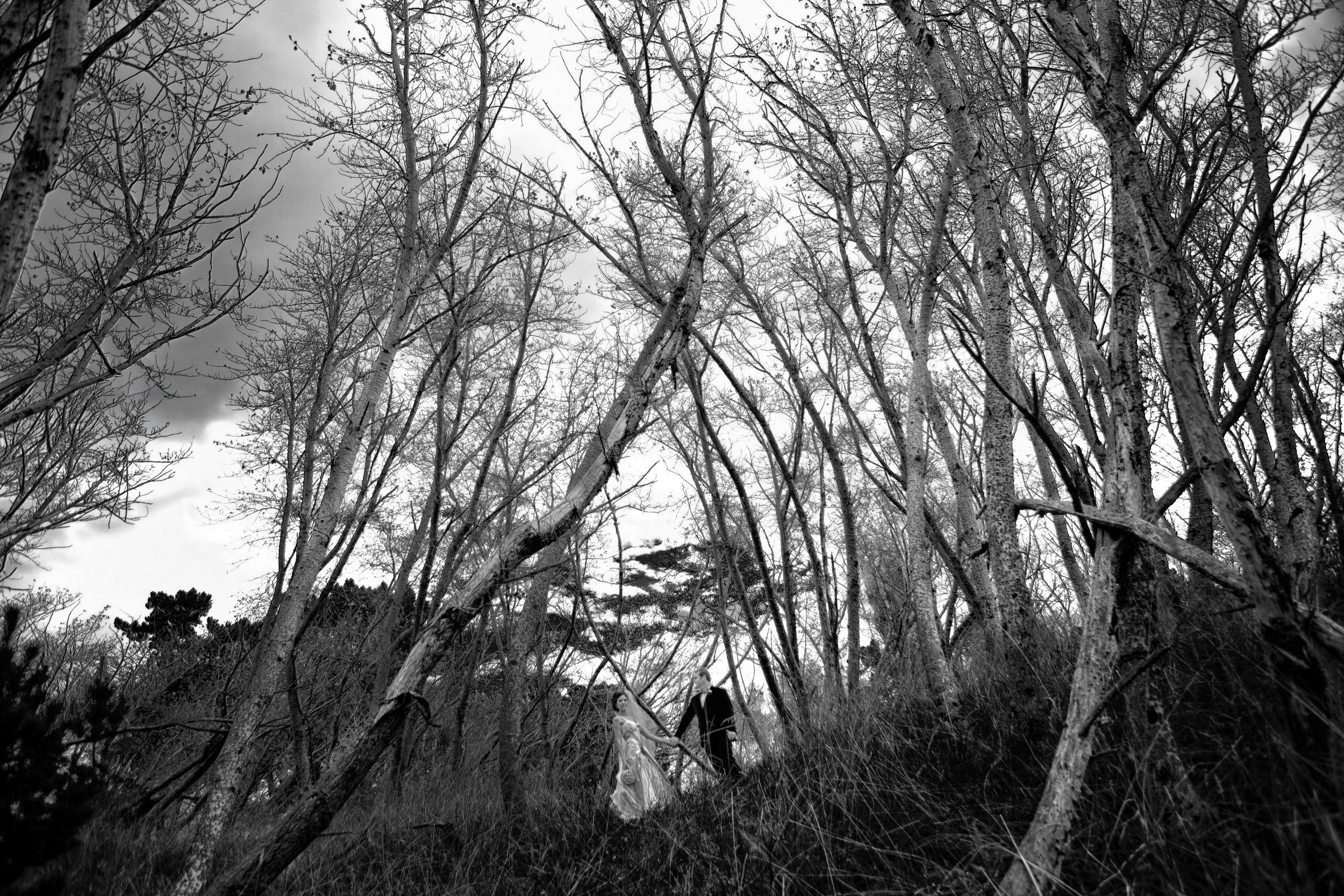 F0493 20100320jo.jpg