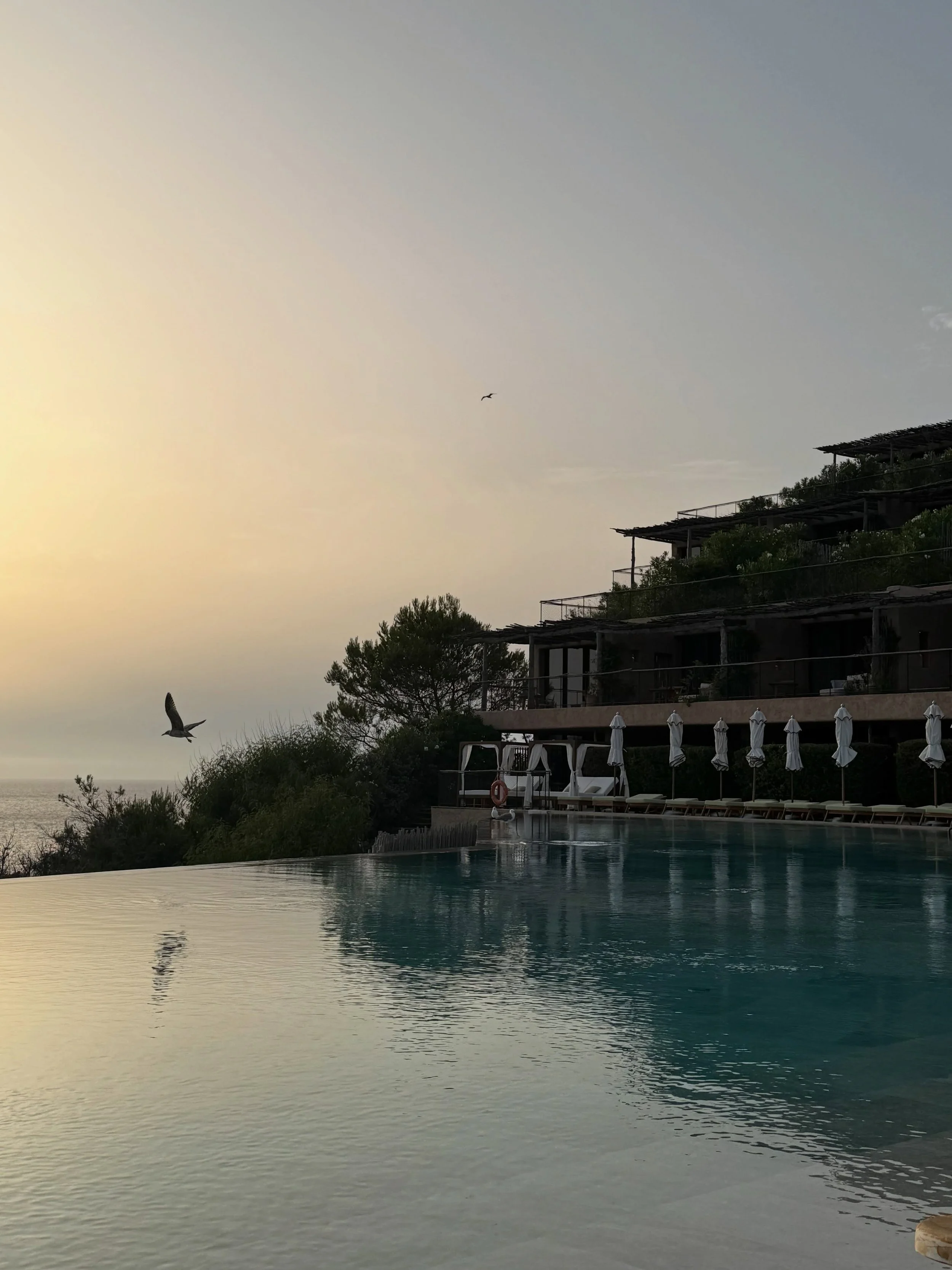 Ibiza ❤️ 

@experimentalbeachibiza 
@sixsenses.ibiza 
@esfumeral