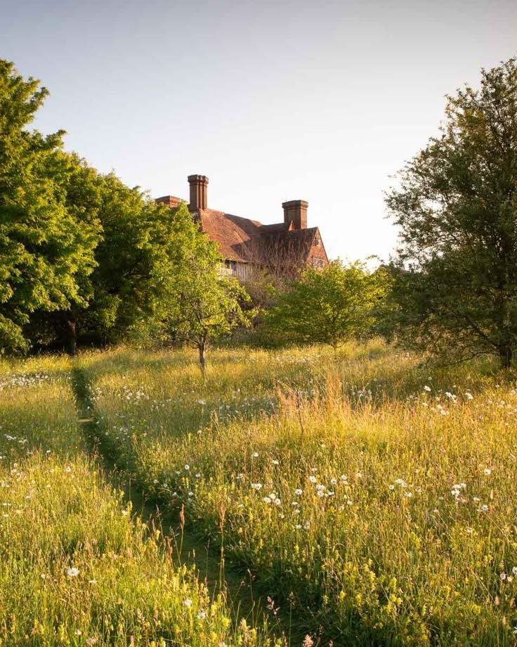 A beautiful meadow at Great Dixter.jpeg