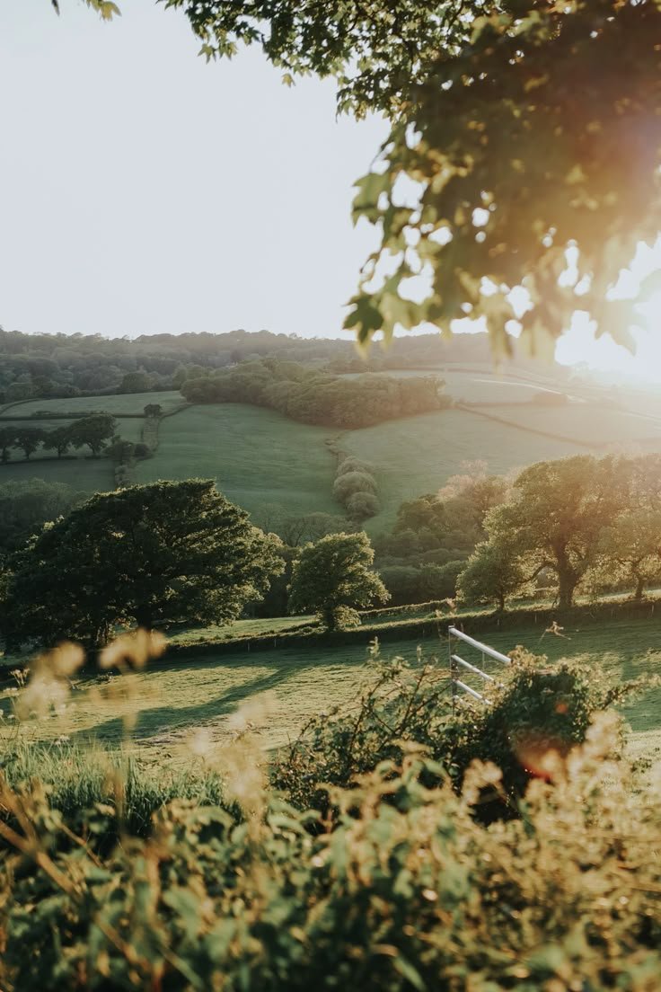 Spring Sunset In The English Countryside.jpeg