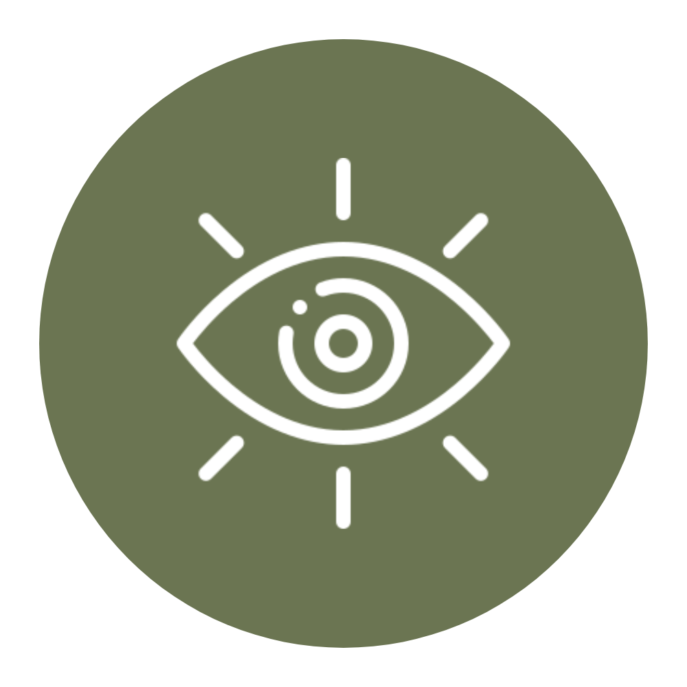 An icon of an eye with a spiral pupil, surrounded by lines indicating illumination, on a green circular background.