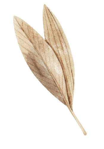 Dry beige leaves with visible veins.