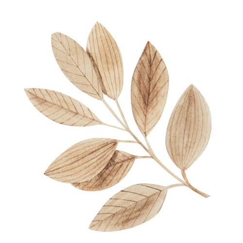 Watercolor illustration of a branch with nine beige and light brown leaves.