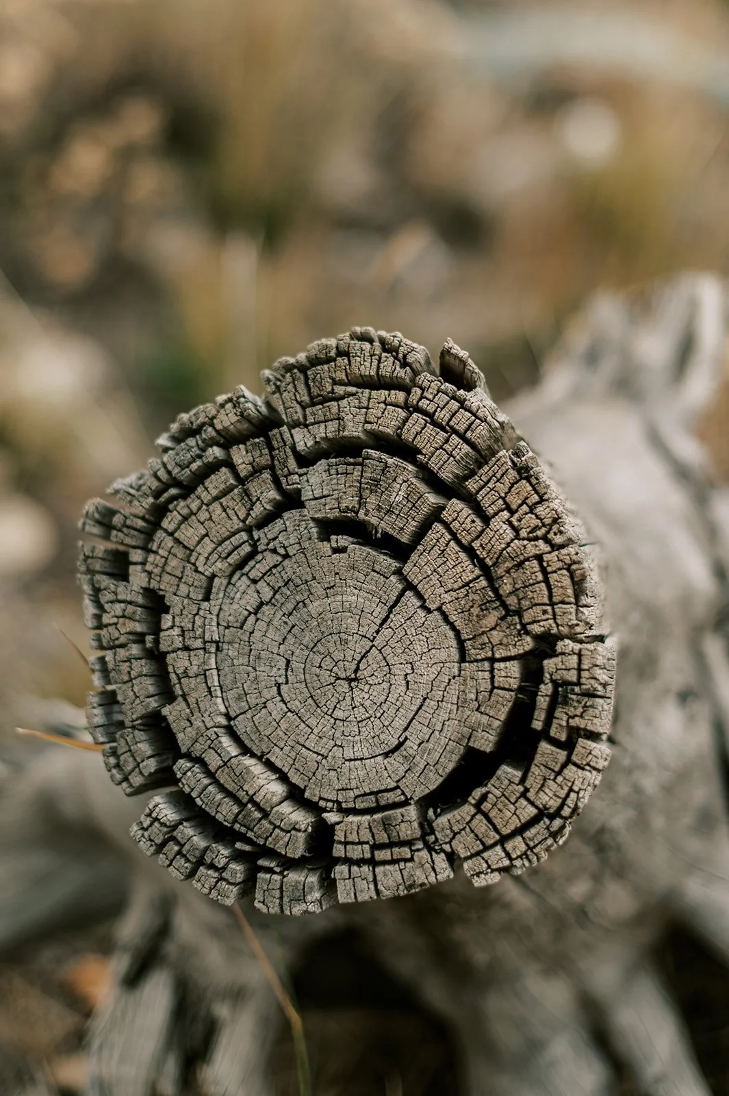 Circle Up Women_s Retreat-62.jpg