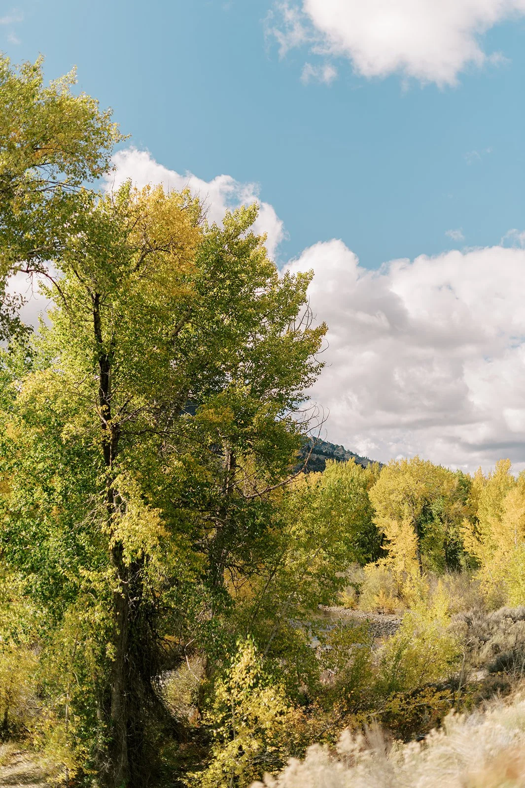 Circle Up Women_s Retreat-115.jpg