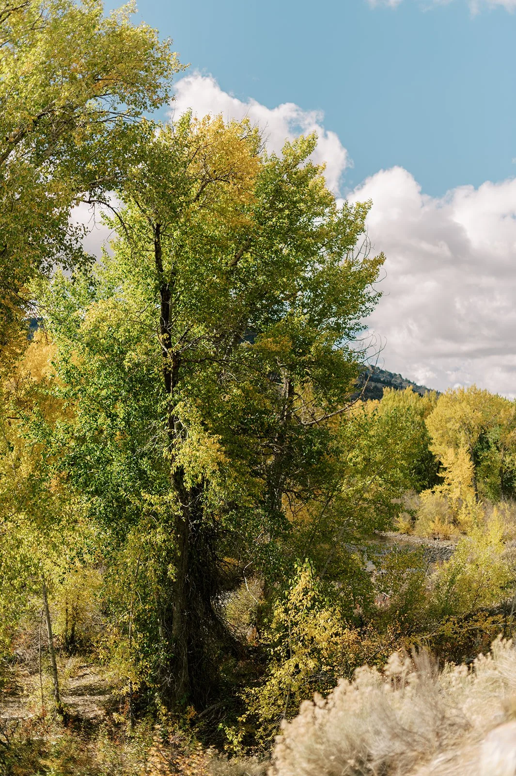 Circle Up Women_s Retreat-113.jpg