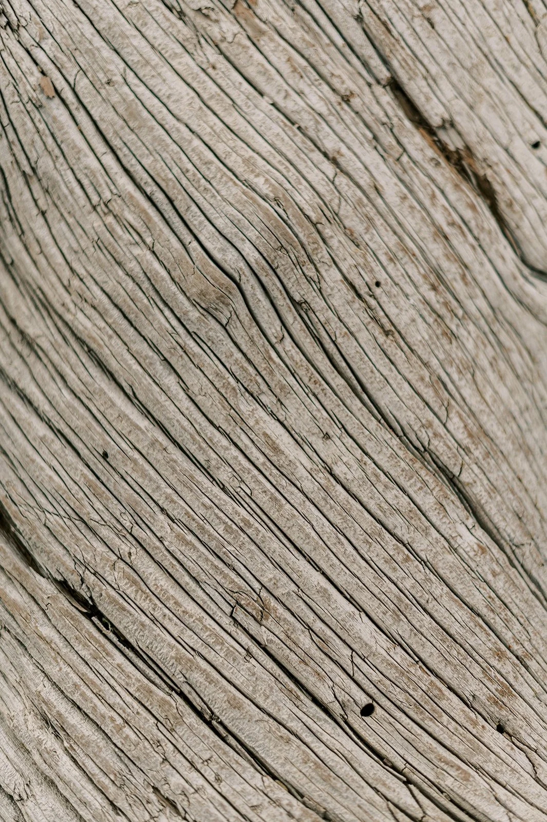 Circle Up Women_s Retreat-61.jpg