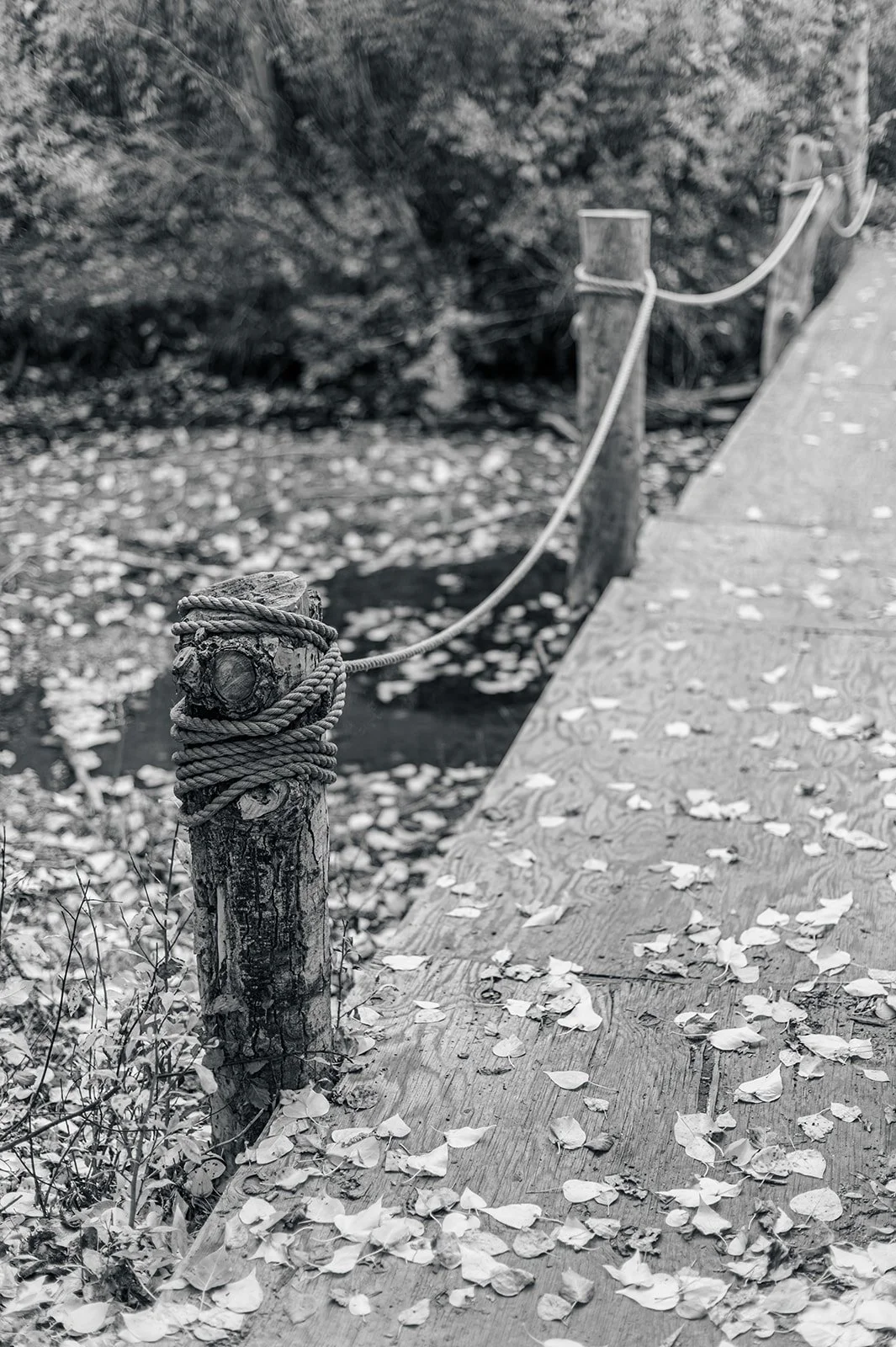 Circle Up Women_s Retreat-54.jpg