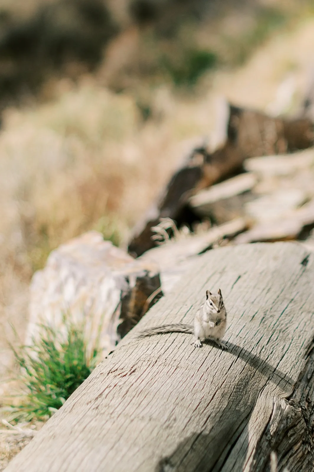 Circle Up Women_s Retreat-123.jpg