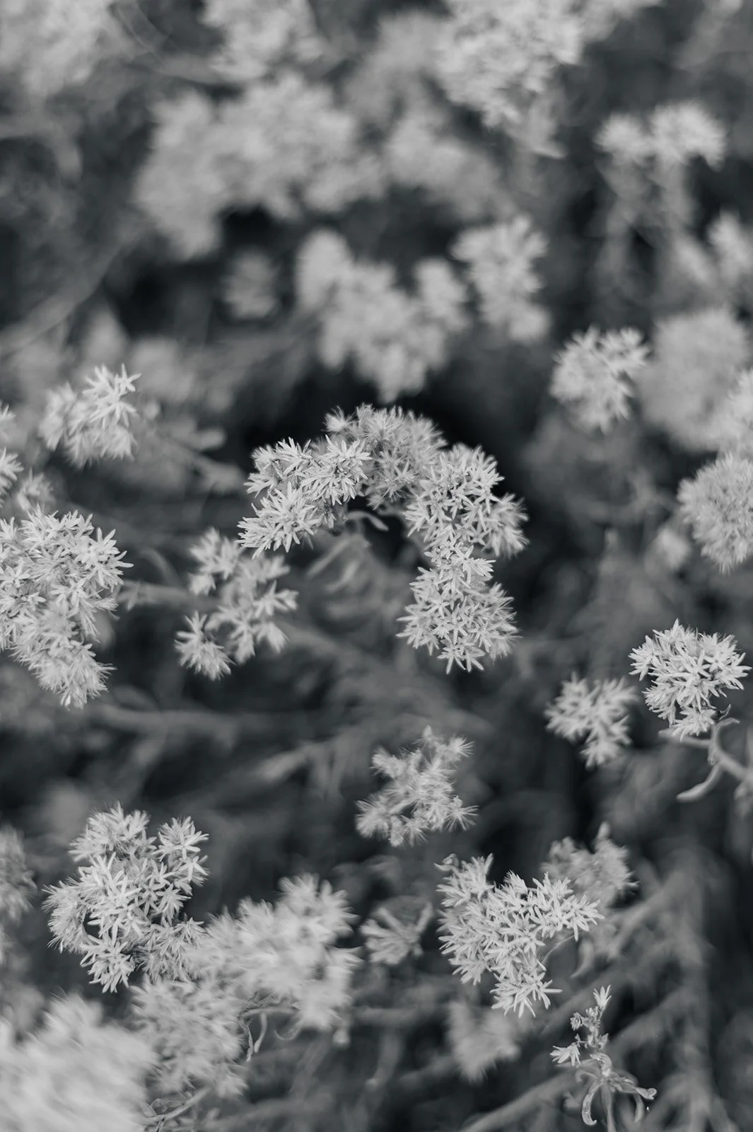 Circle Up Women_s Retreat-59-2.jpg