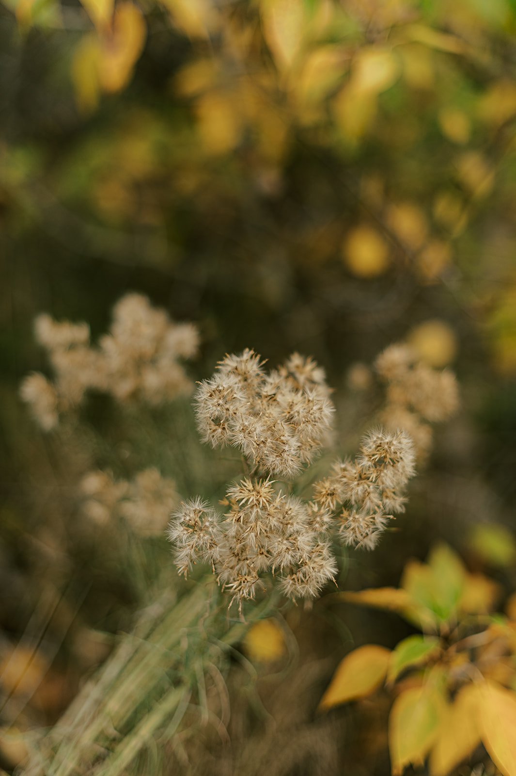 Circle Up Women_s Retreat-57.jpg