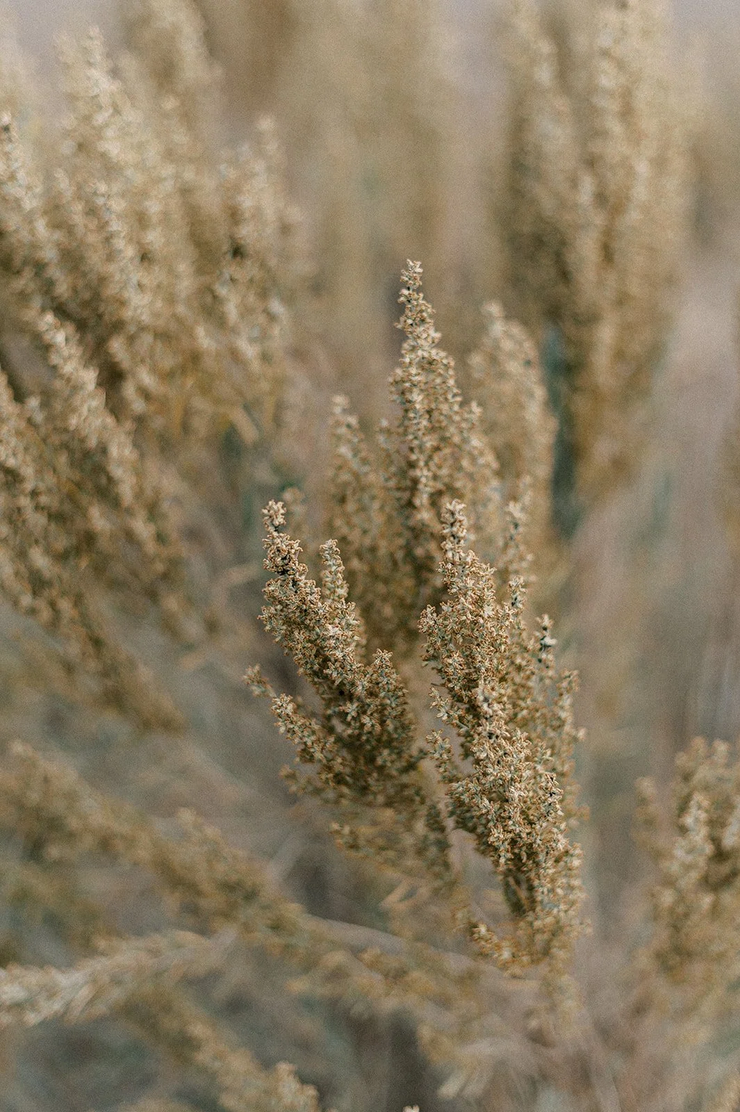 Circle Up Women_s Retreat-97.jpg