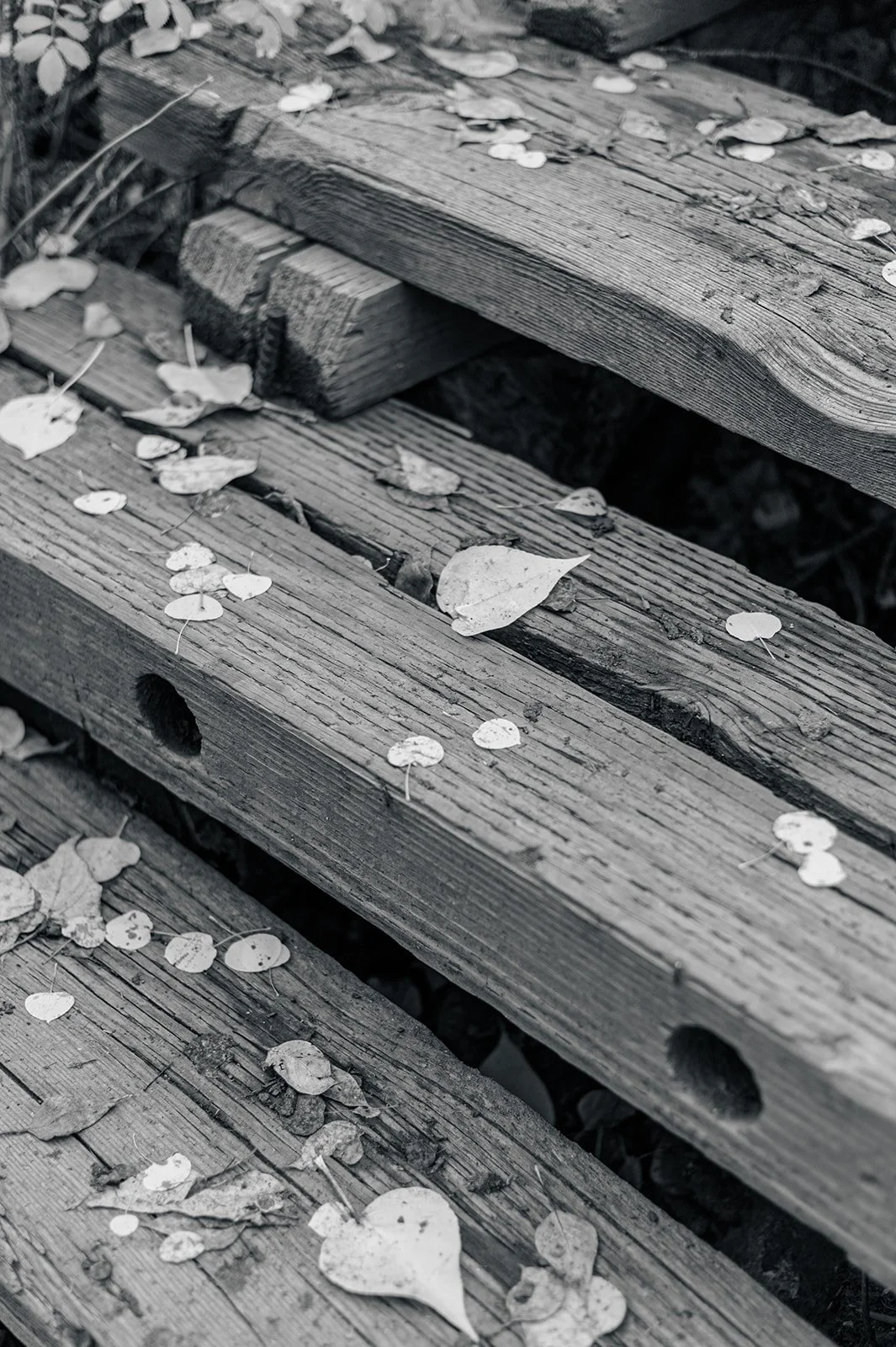 Circle Up Women_s Retreat-50-2.jpg