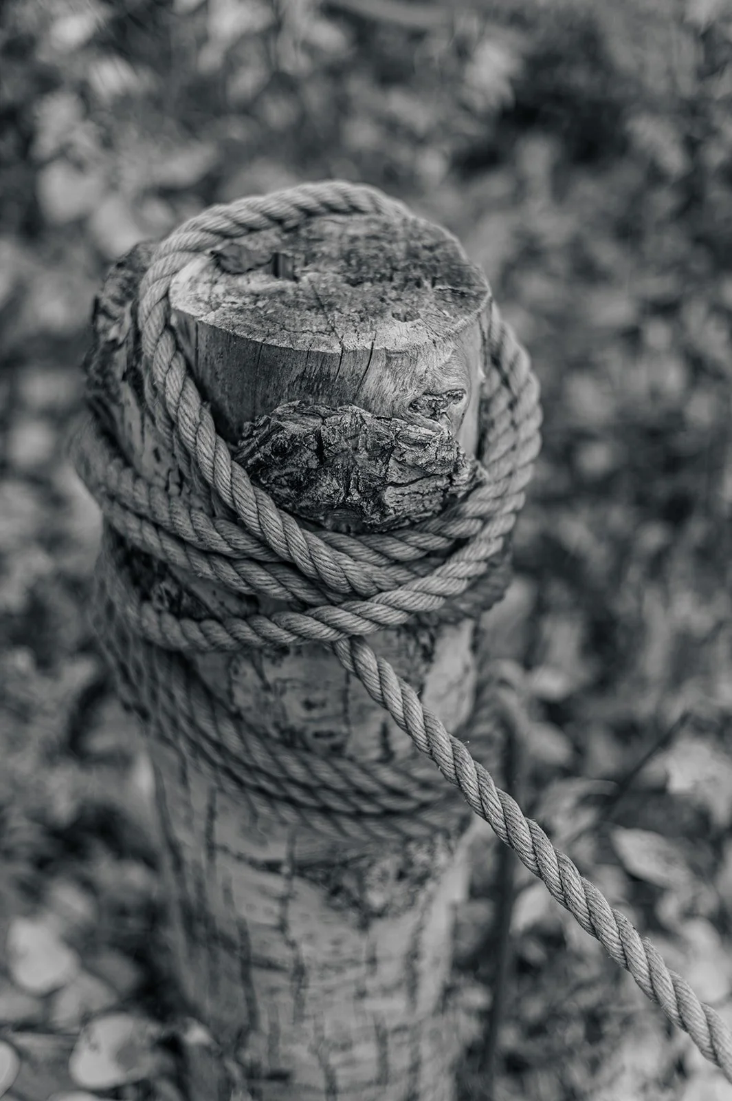 Circle Up Women_s Retreat-58.jpg