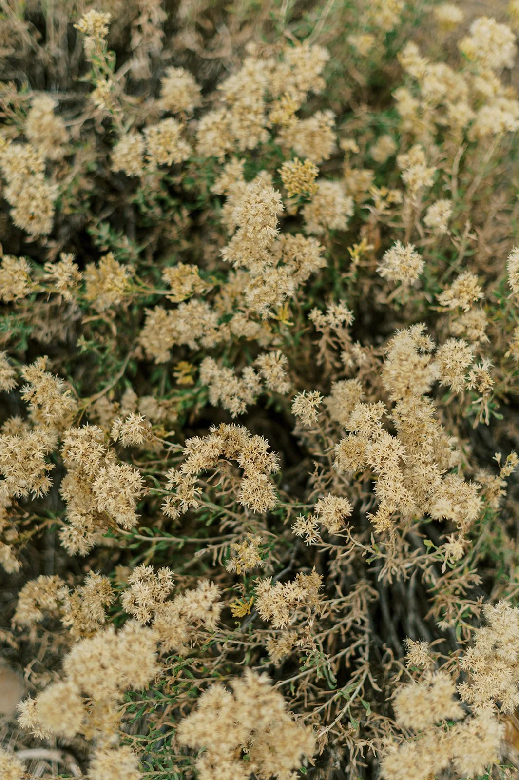 Circle Up Women_s Retreat-60.jpg