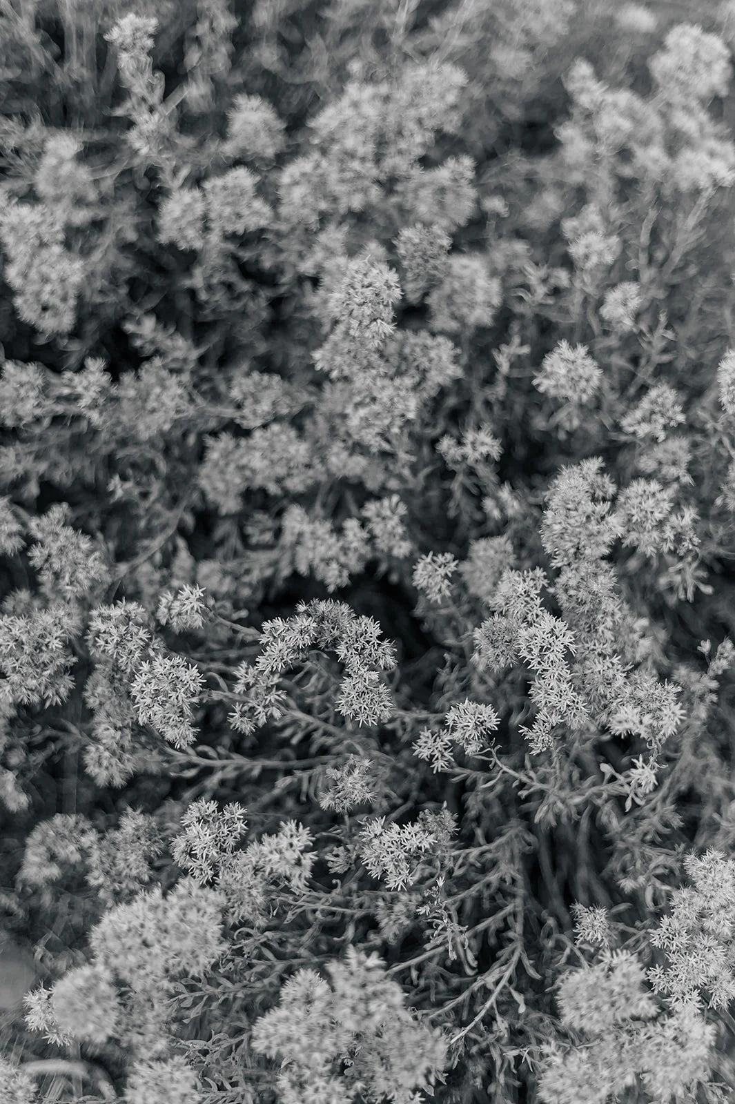 Circle Up Women_s Retreat-60-2.jpg