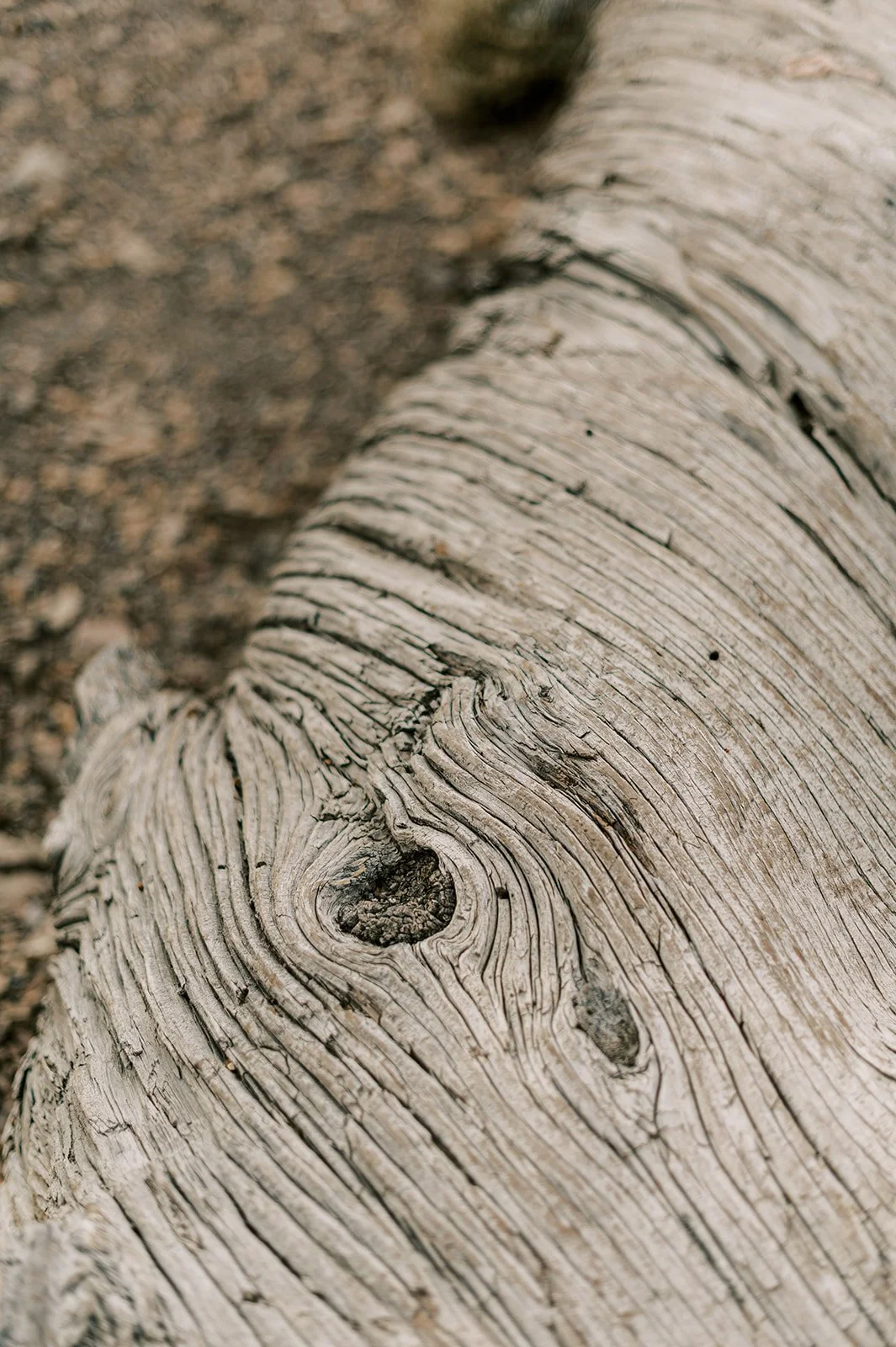 Circle Up Women_s Retreat-64.jpg