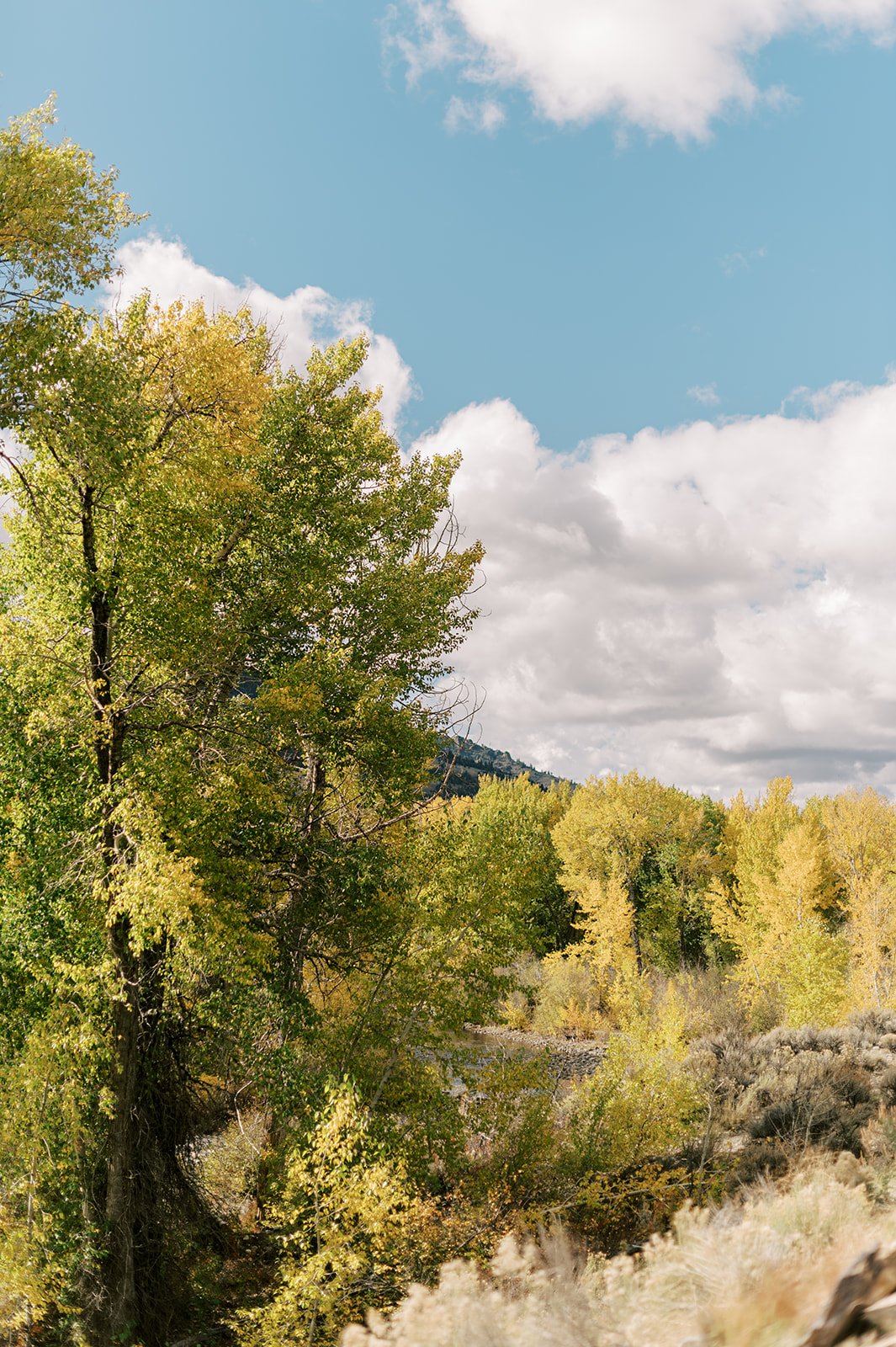 Circle Up Women_s Retreat-114.jpg