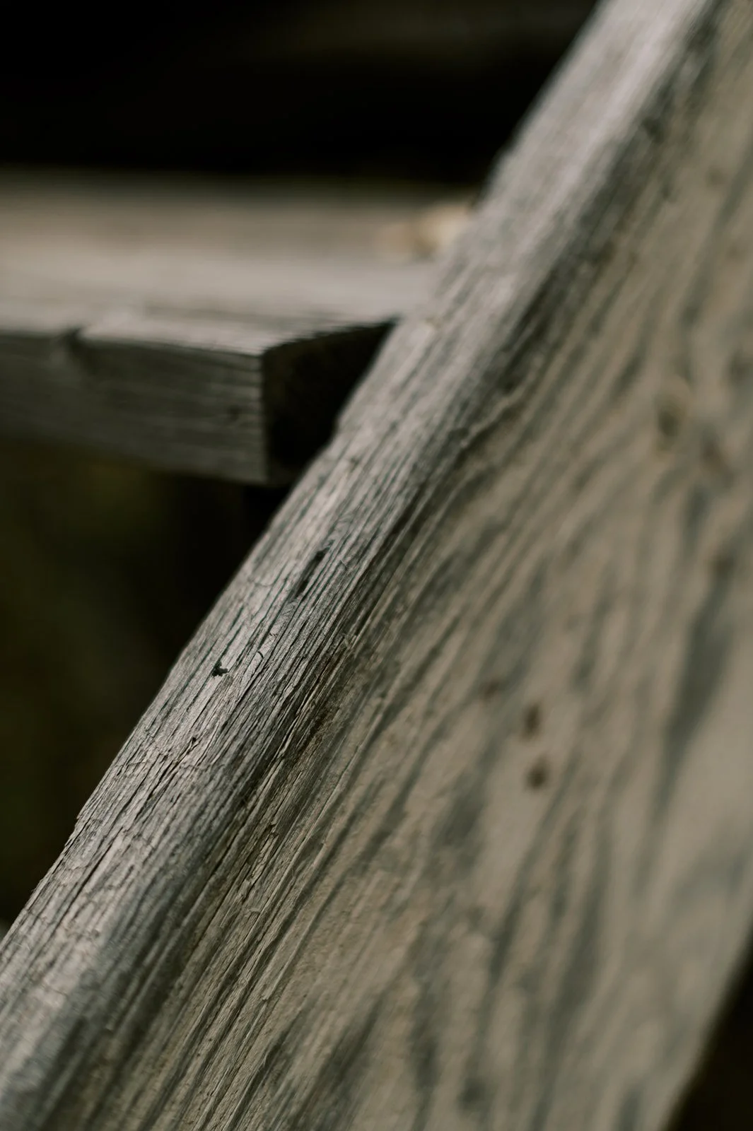 Circle Up Women_s Retreat-55.jpg