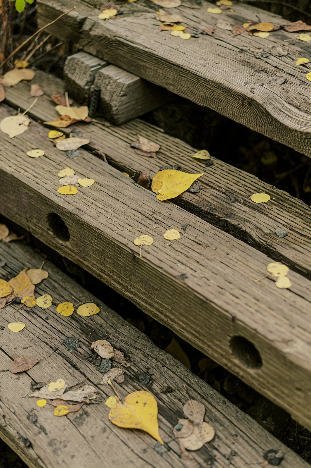 Circle Up Women_s Retreat-50.jpg