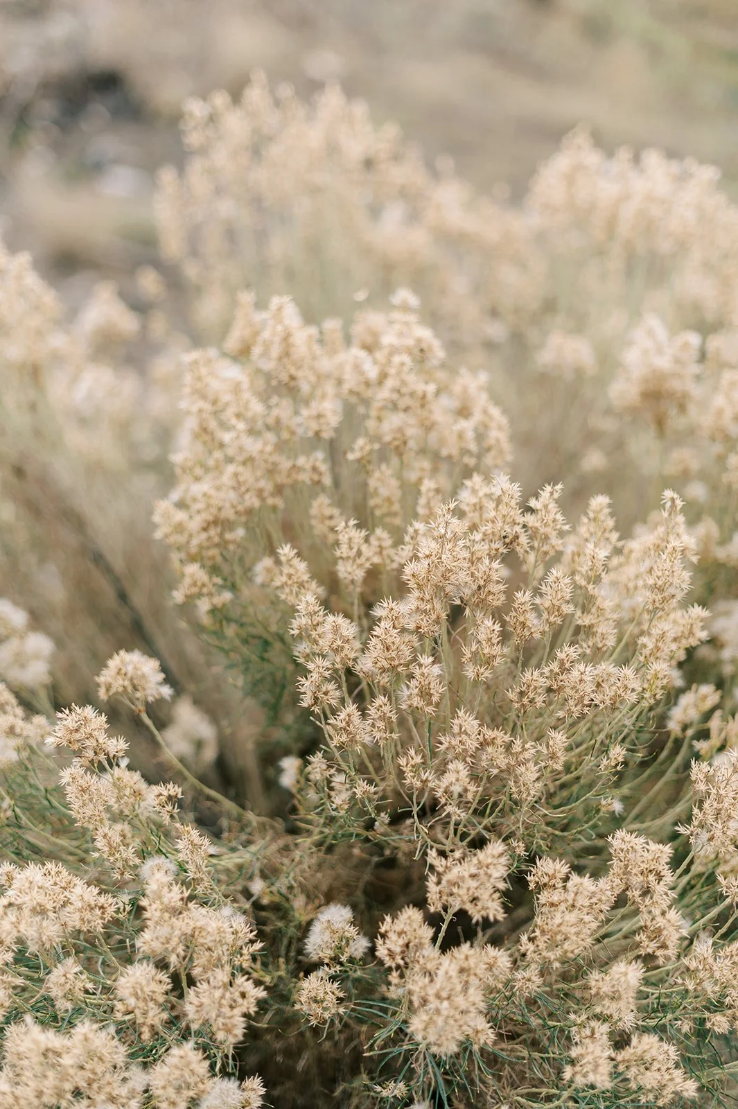 Circle Up Women_s Retreat-101.jpg