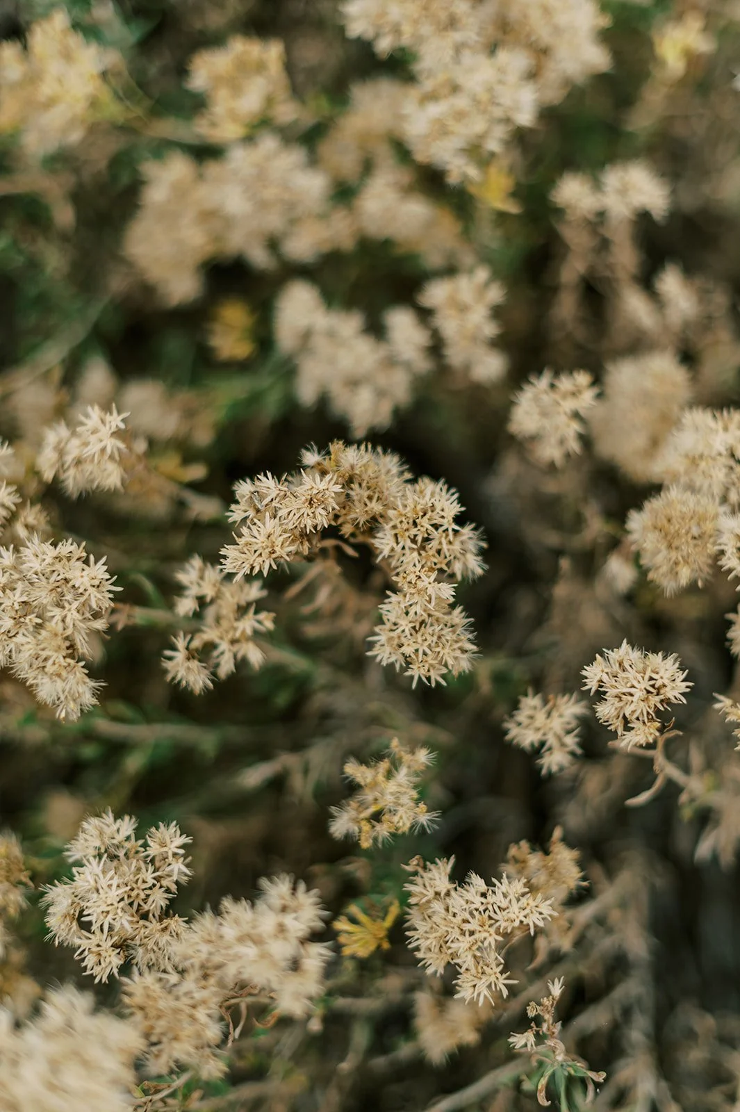 Circle Up Women_s Retreat-59.jpg