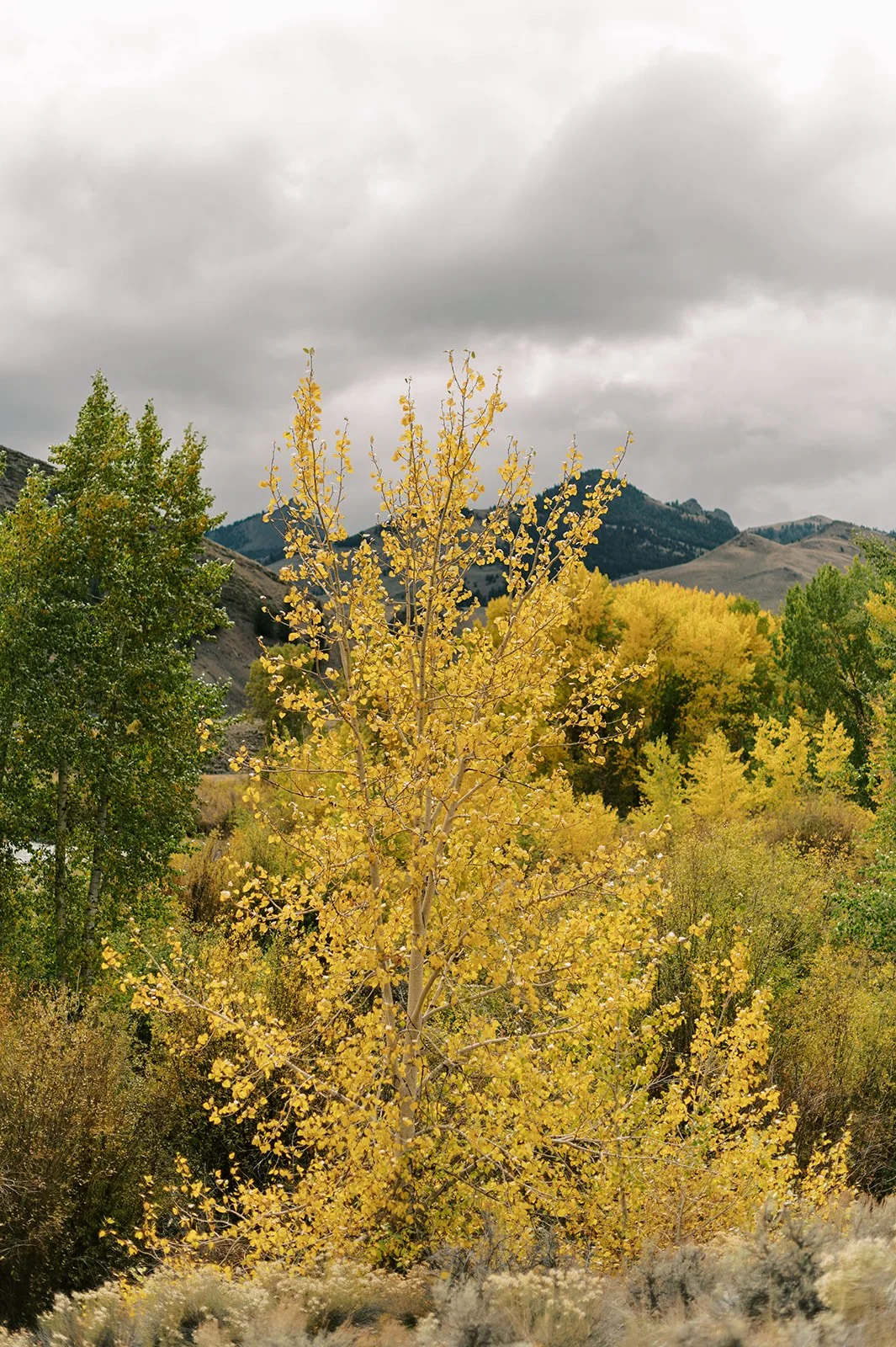 Circle Up Women_s Retreat-48.jpg