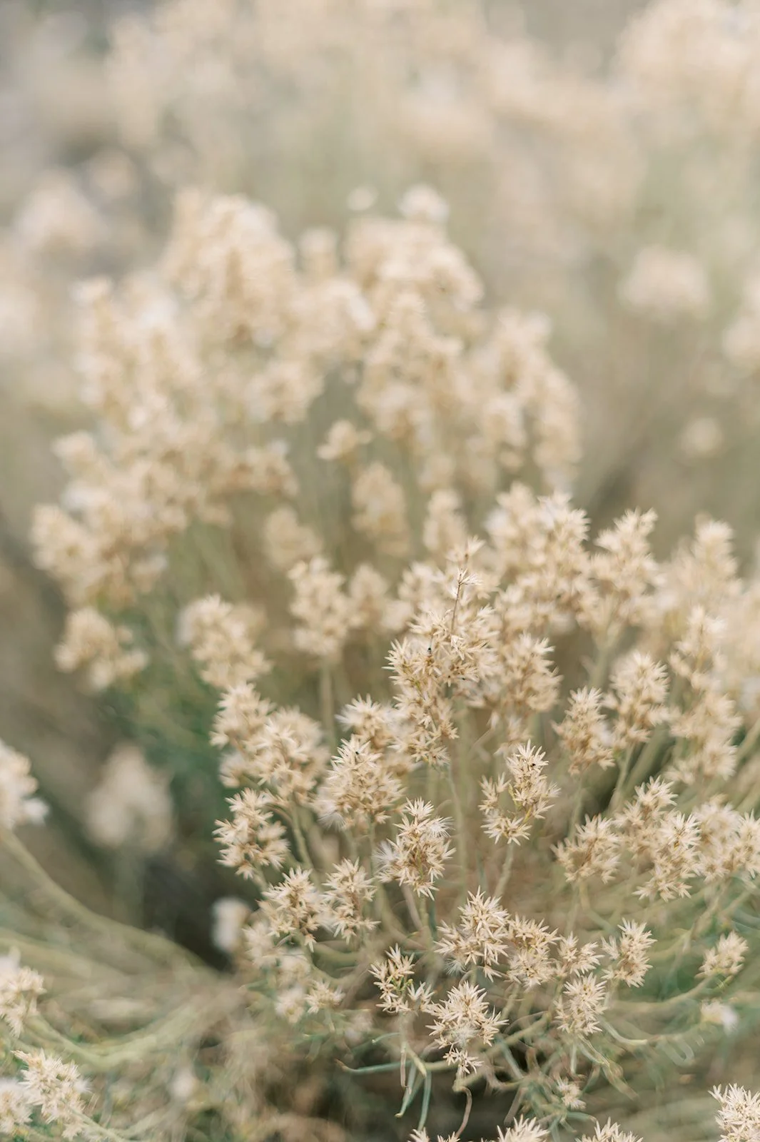 Circle Up Women_s Retreat-100.jpg