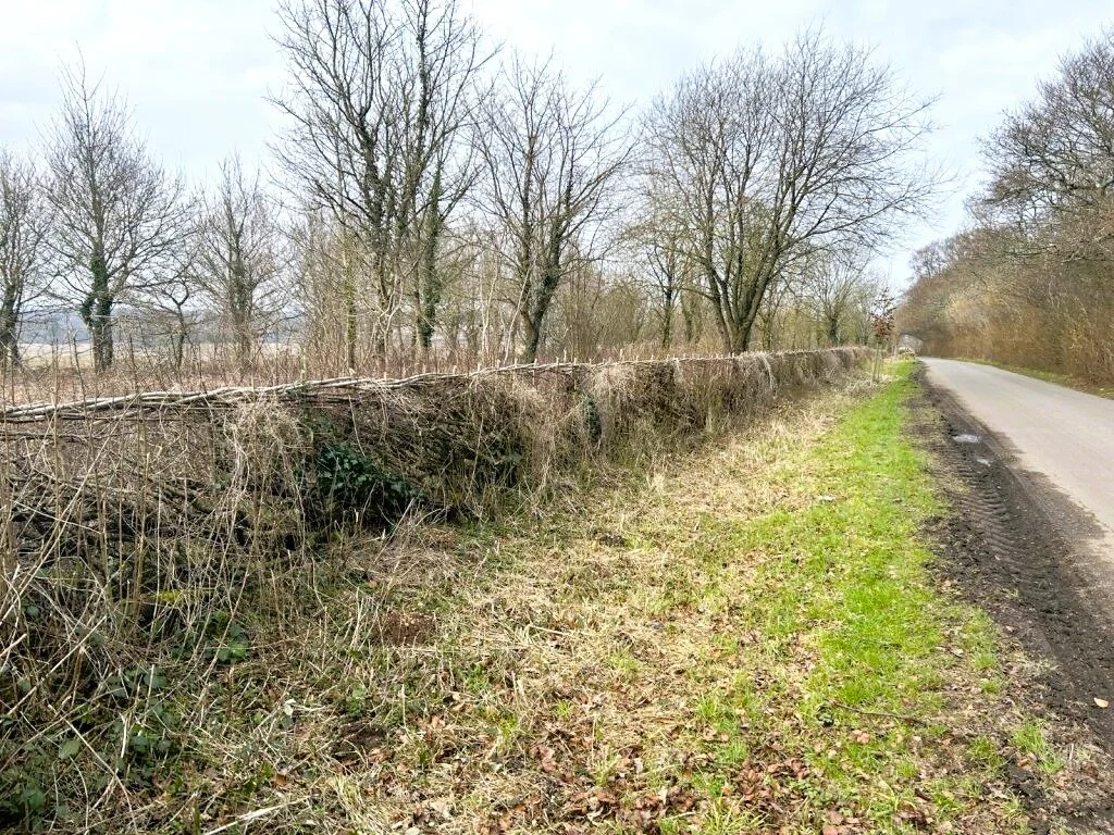 FWAG SE - Winchester Downs Cluster - Hedgerow.jpg