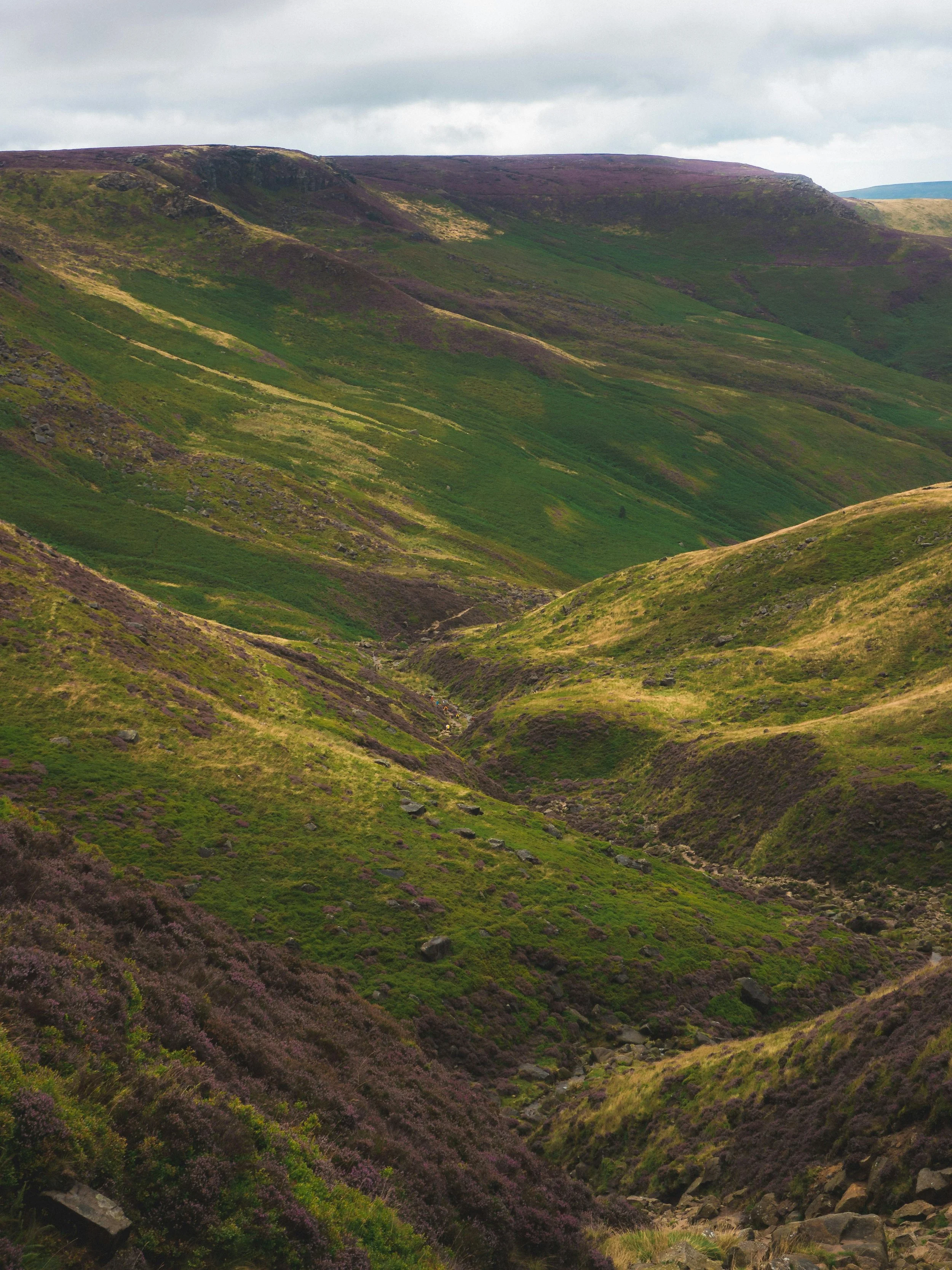 Wuthering Heights: A Love Story Written Into the Land