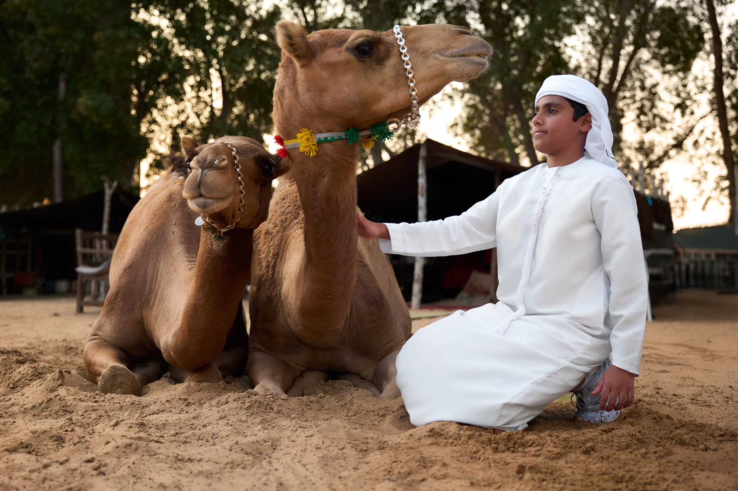 DU_National Day_2025_HR_04 copy.jpg