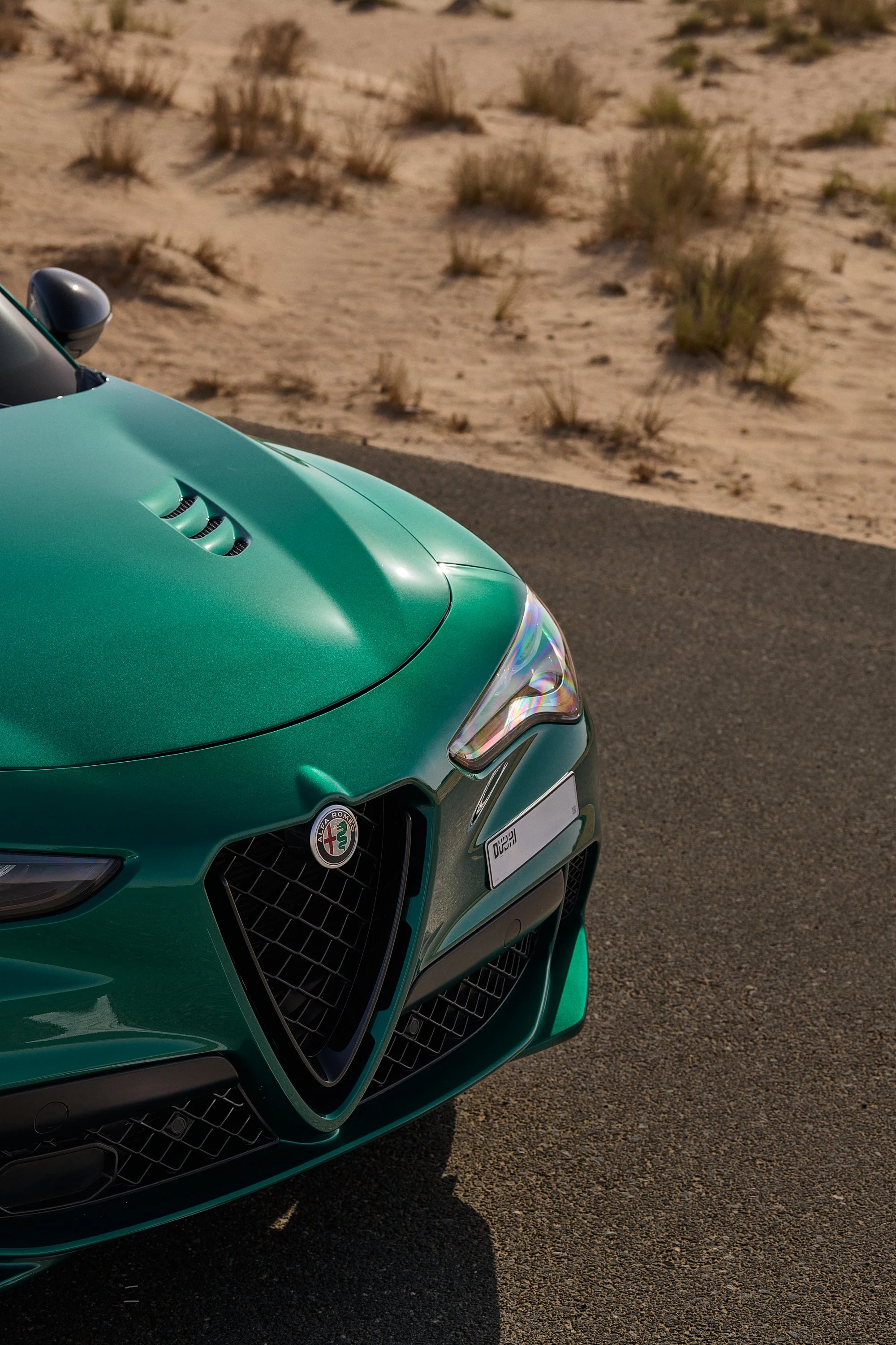 AlfaRomeo_Stelvio_ 9.jpg
