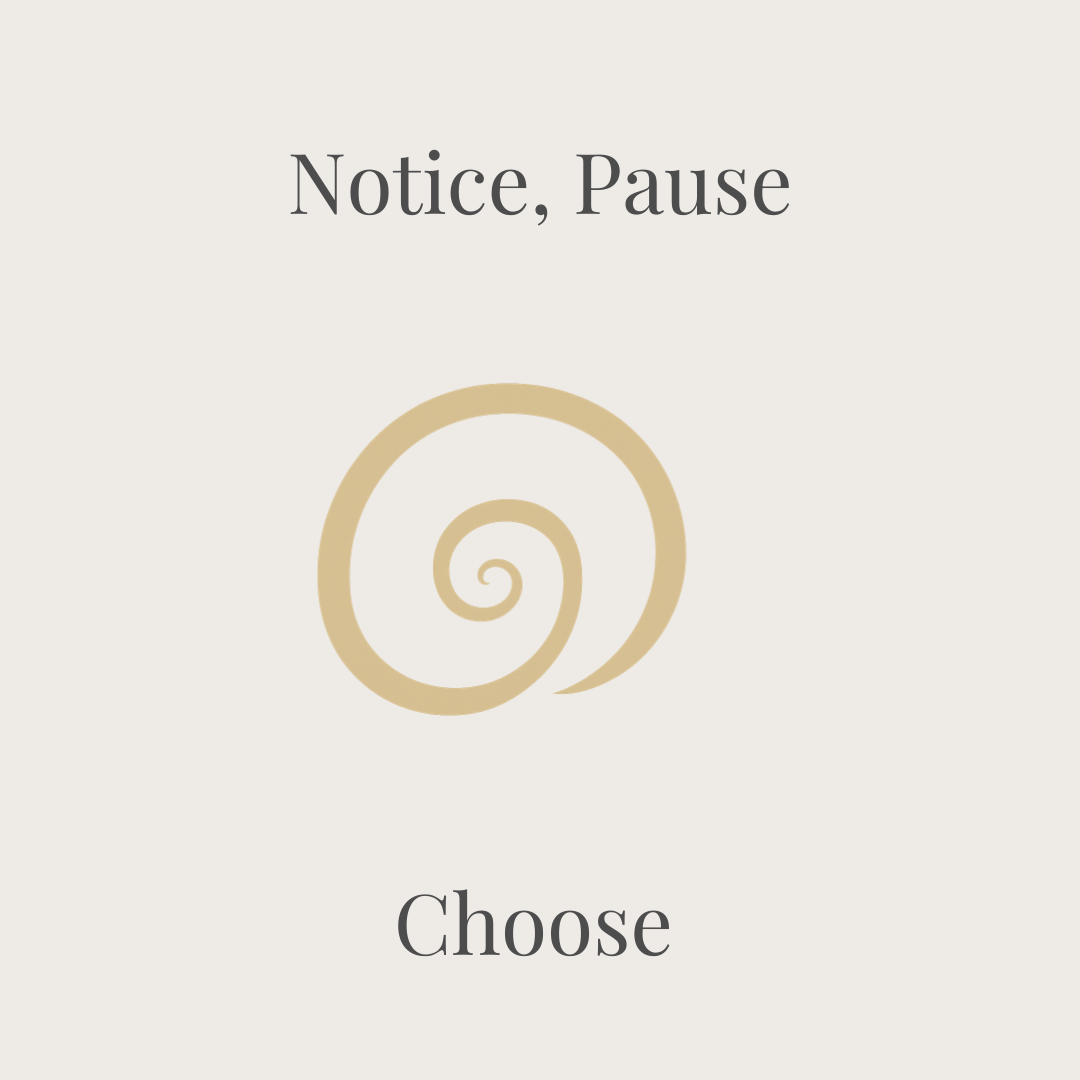 Notice Pause Choose