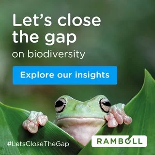 A green frog peeking over a leaf with a blurred green background, accompanied by text that says 'Let's close the gap on biodiversity' and a button labeled 'Explore our insights'.