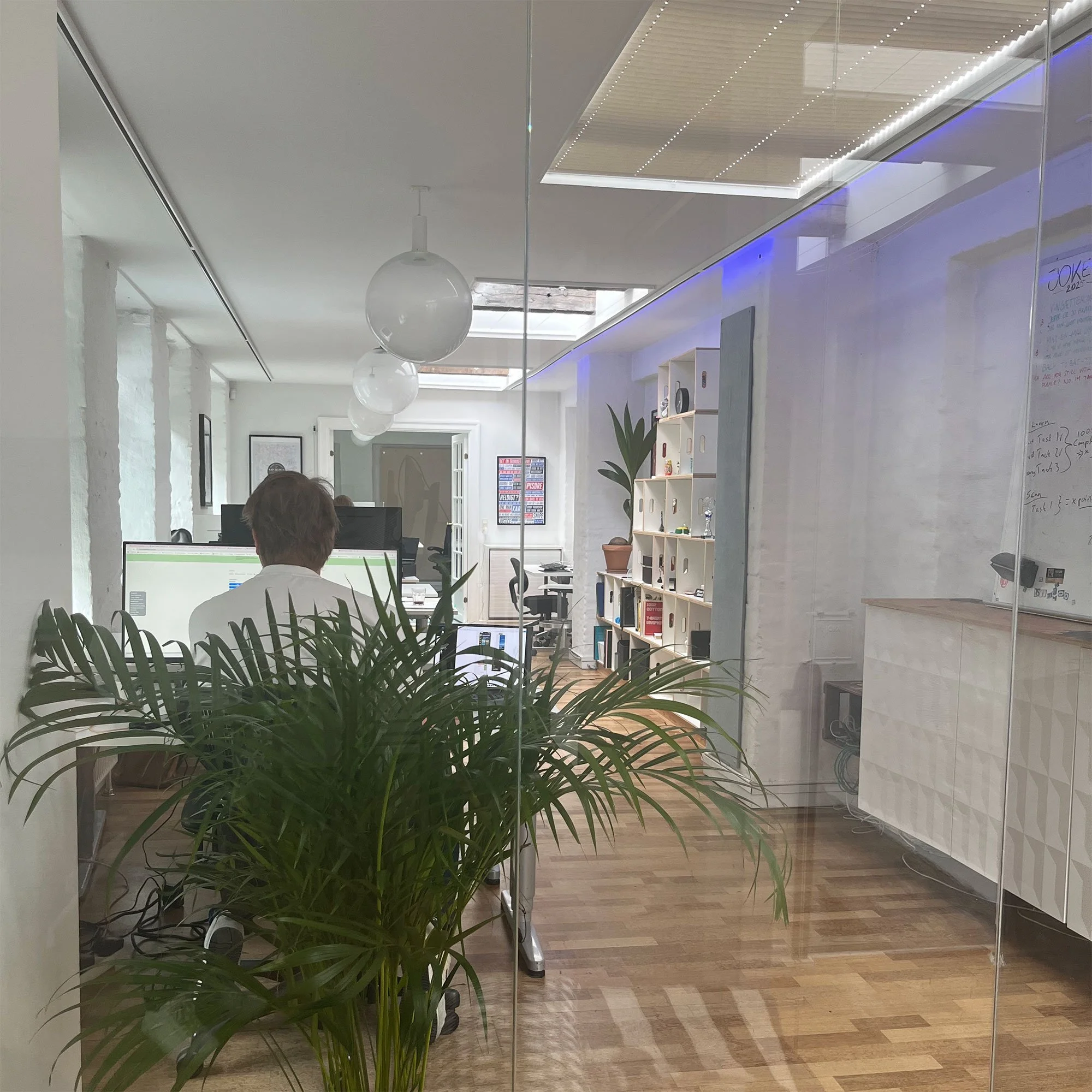 View through glass window into a modern office with people working at desks, a large plant in the foreground, white walls, pendant lights, and a white bookshelf.
