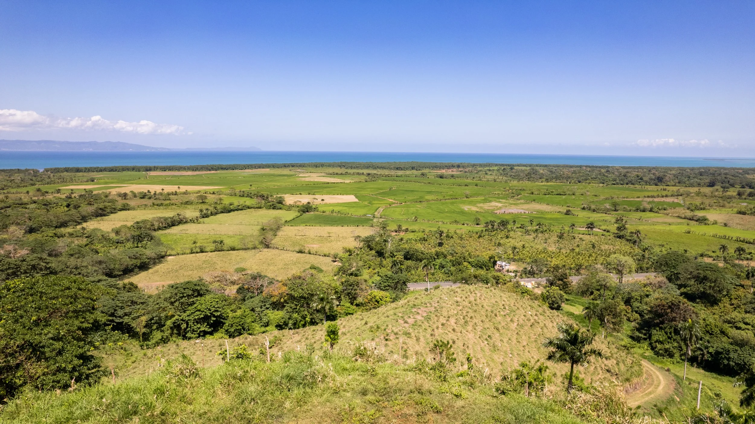 Landscape with green farmland, trees, and distant ocean under a clear blue sky.