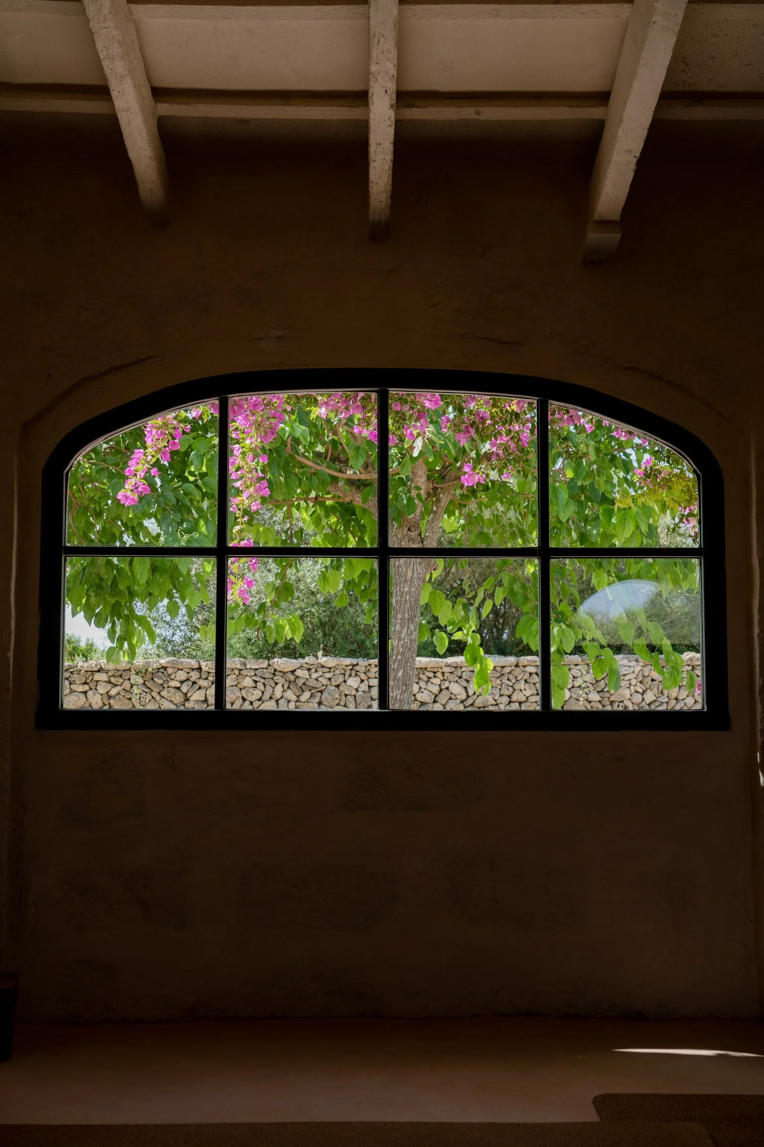 jivamukti-yoga-retreat-julio-menorca-2024-11.JPG