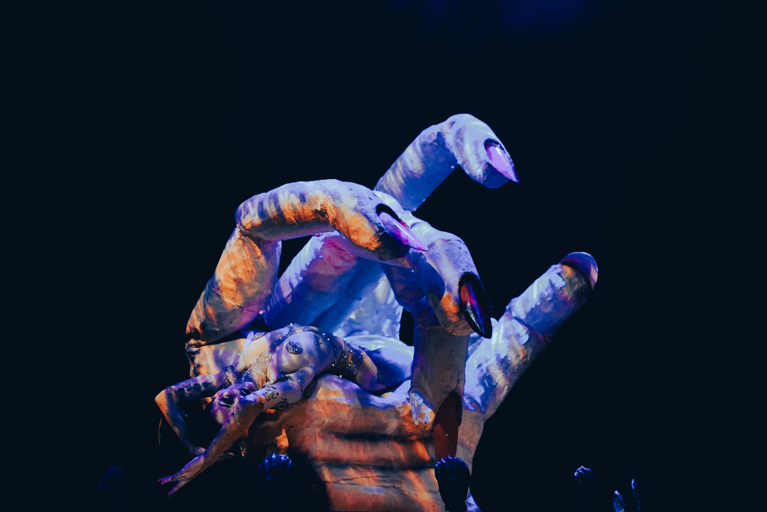 Dracula's Resurrection Tour