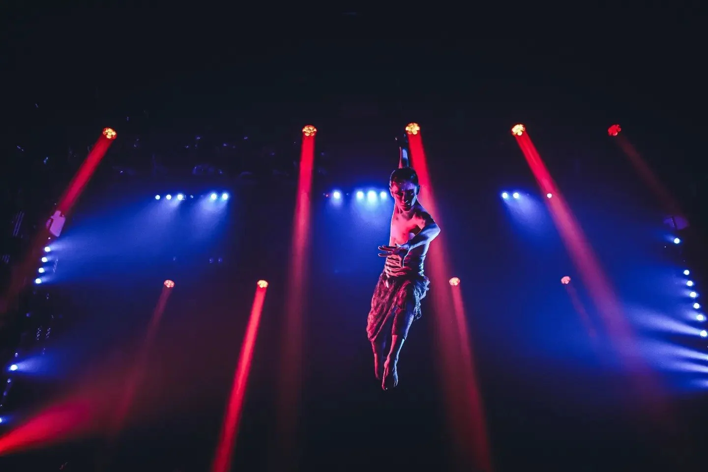 Dracula's Menagerie Gold Coast