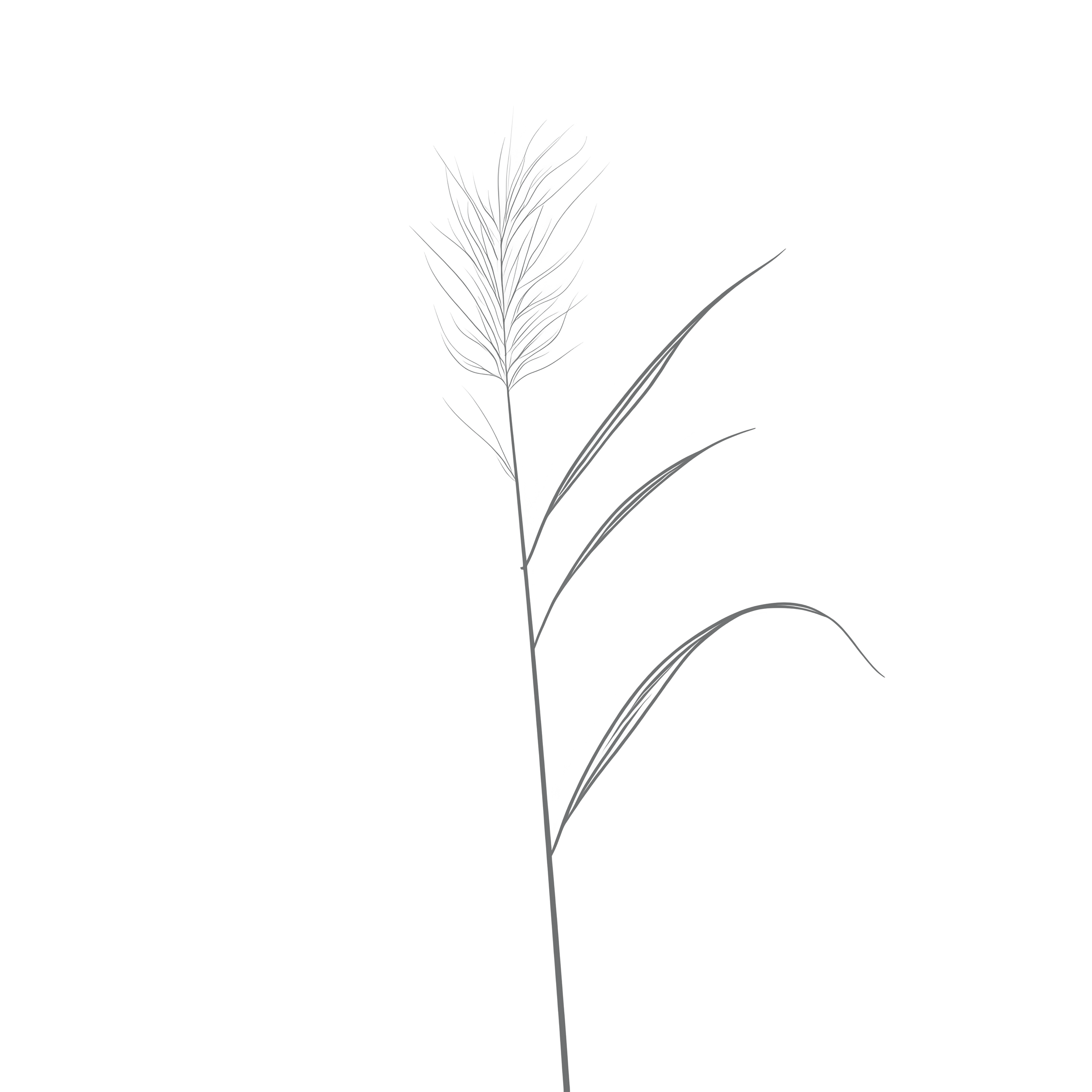 Ein dunkler Hintergrund mit einer zarten, hellblauen Blume oder Pflanze in der Mitte, die an diesem dunklen Hintergrund kaum sichtbar ist.