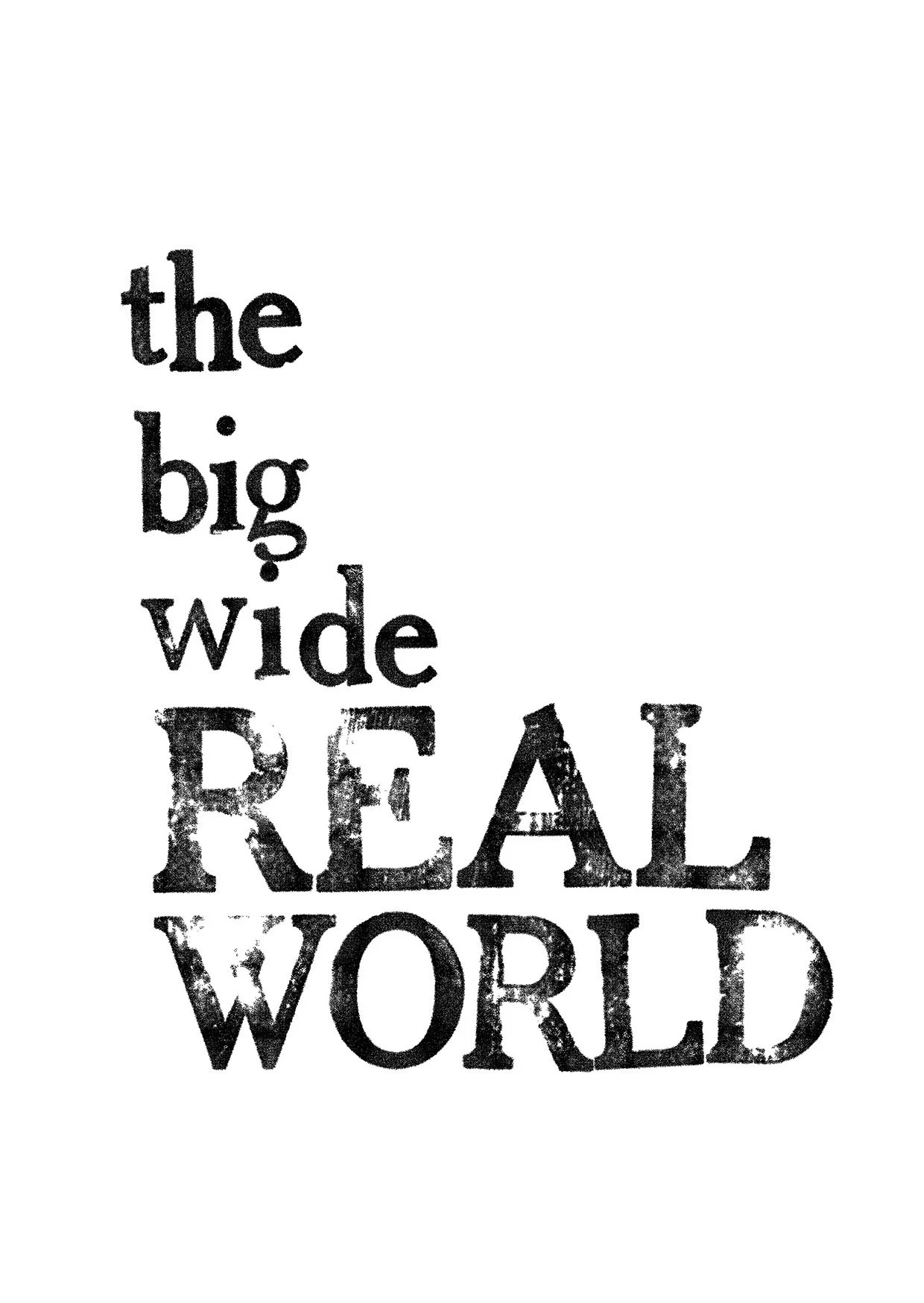 thebigwiderealworld (A6) copy.jpg