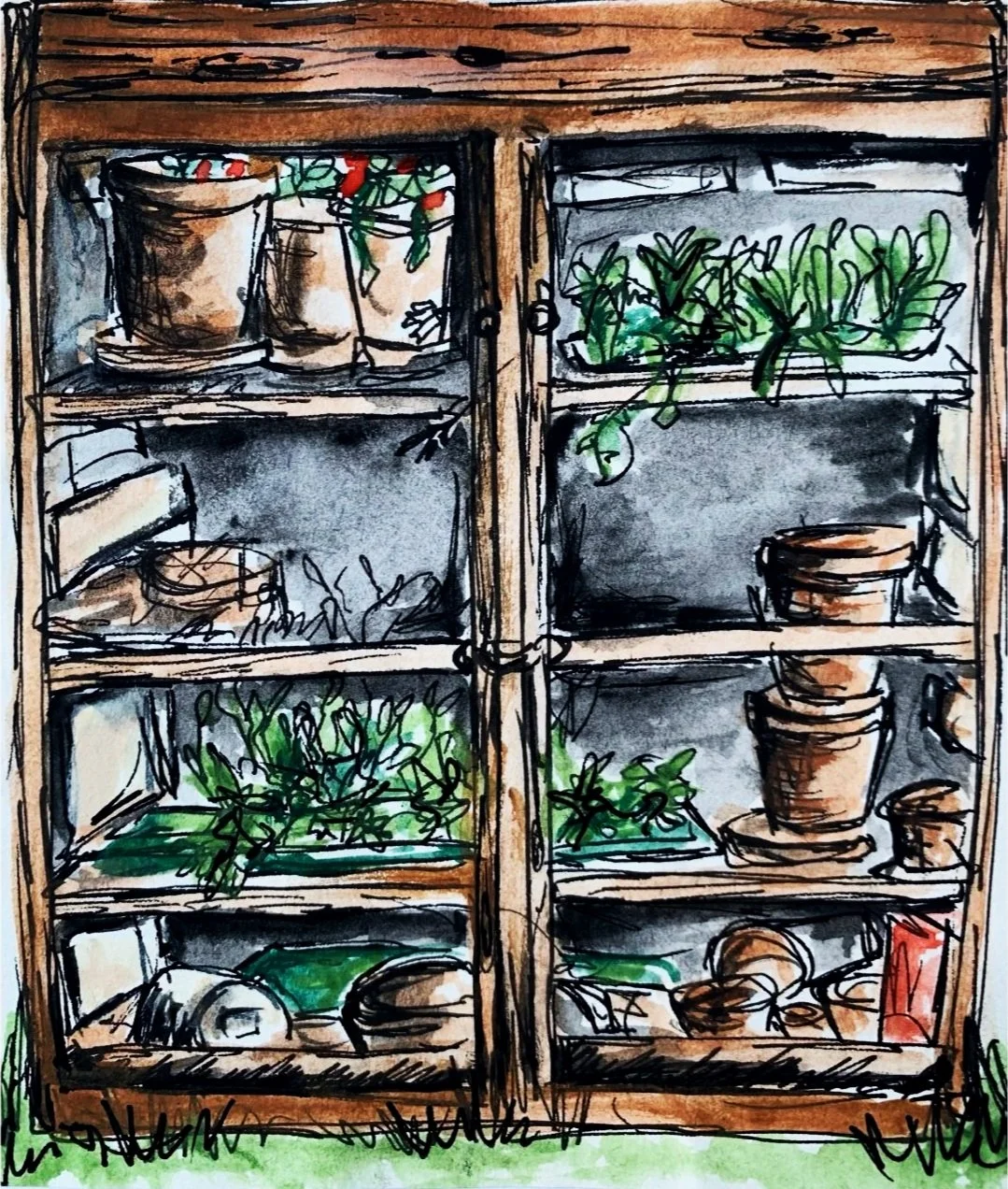 Grandad's Greenhouse