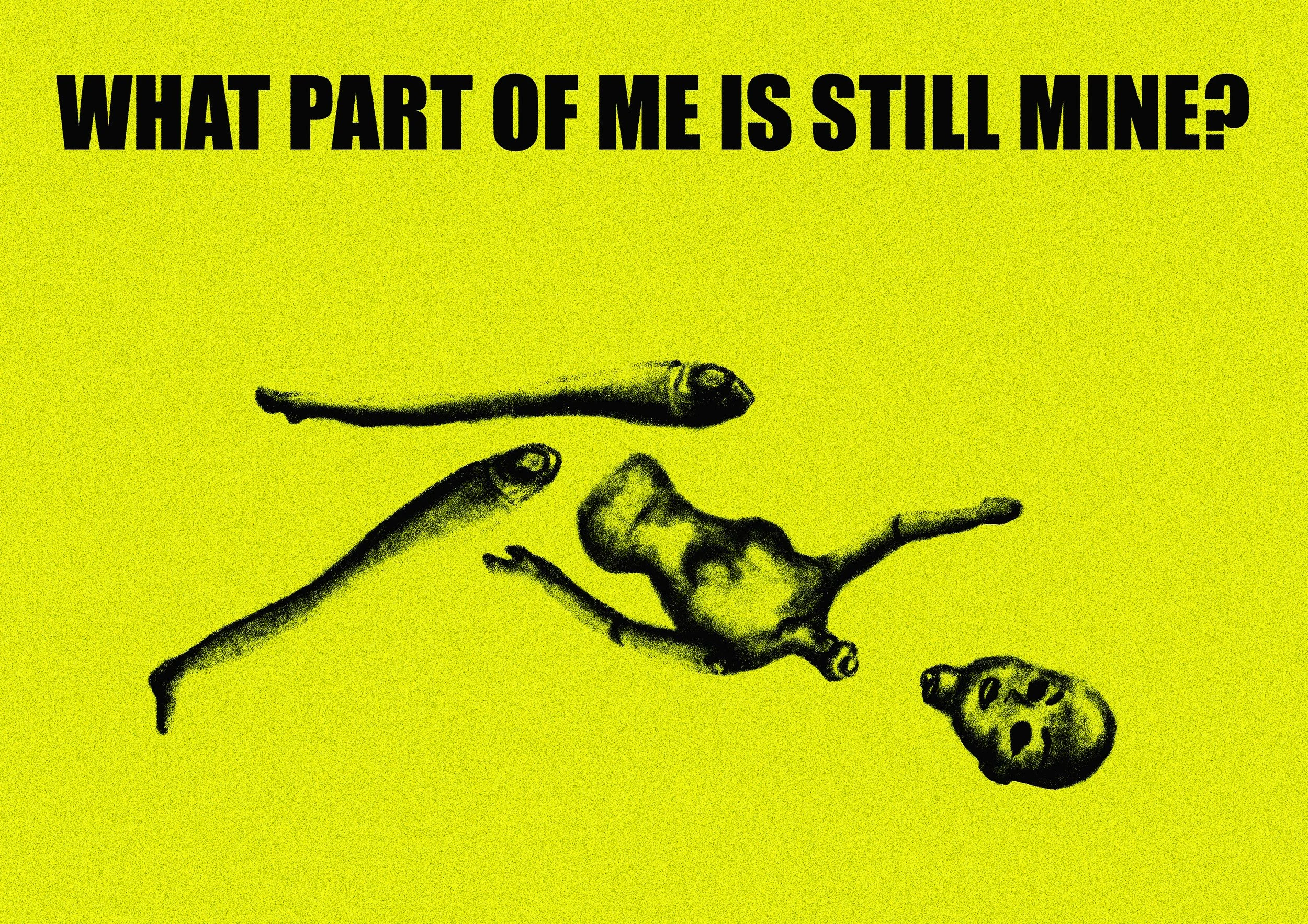 still mine a4.jpg