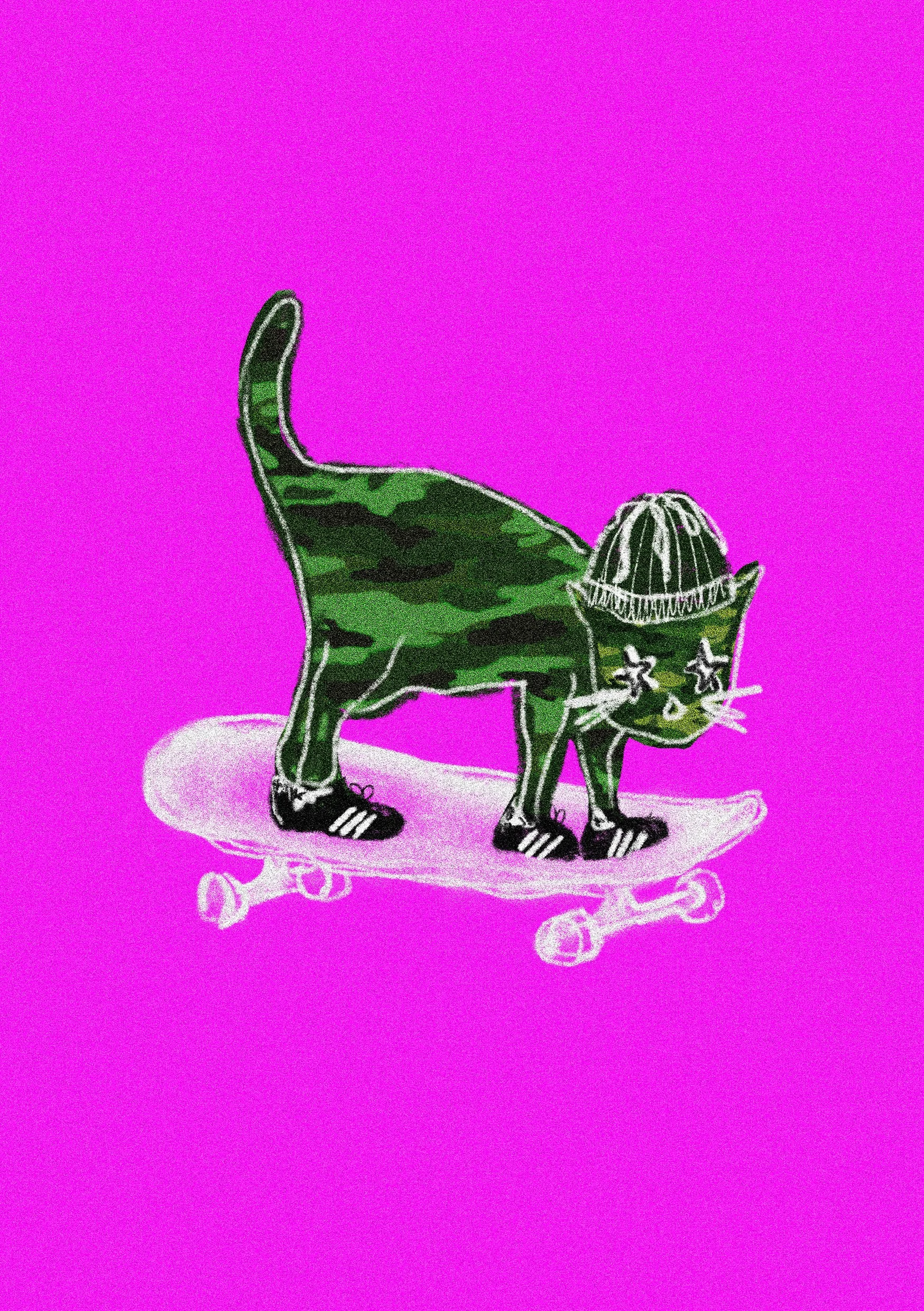 camo cat a5.jpg