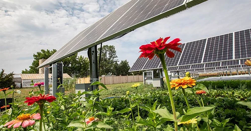 Denver Botanic Garden.jpg