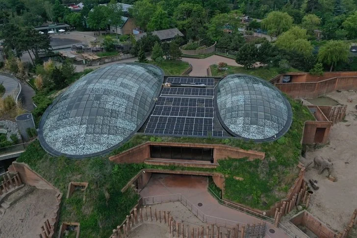 Copenhagen ZOO.jpg