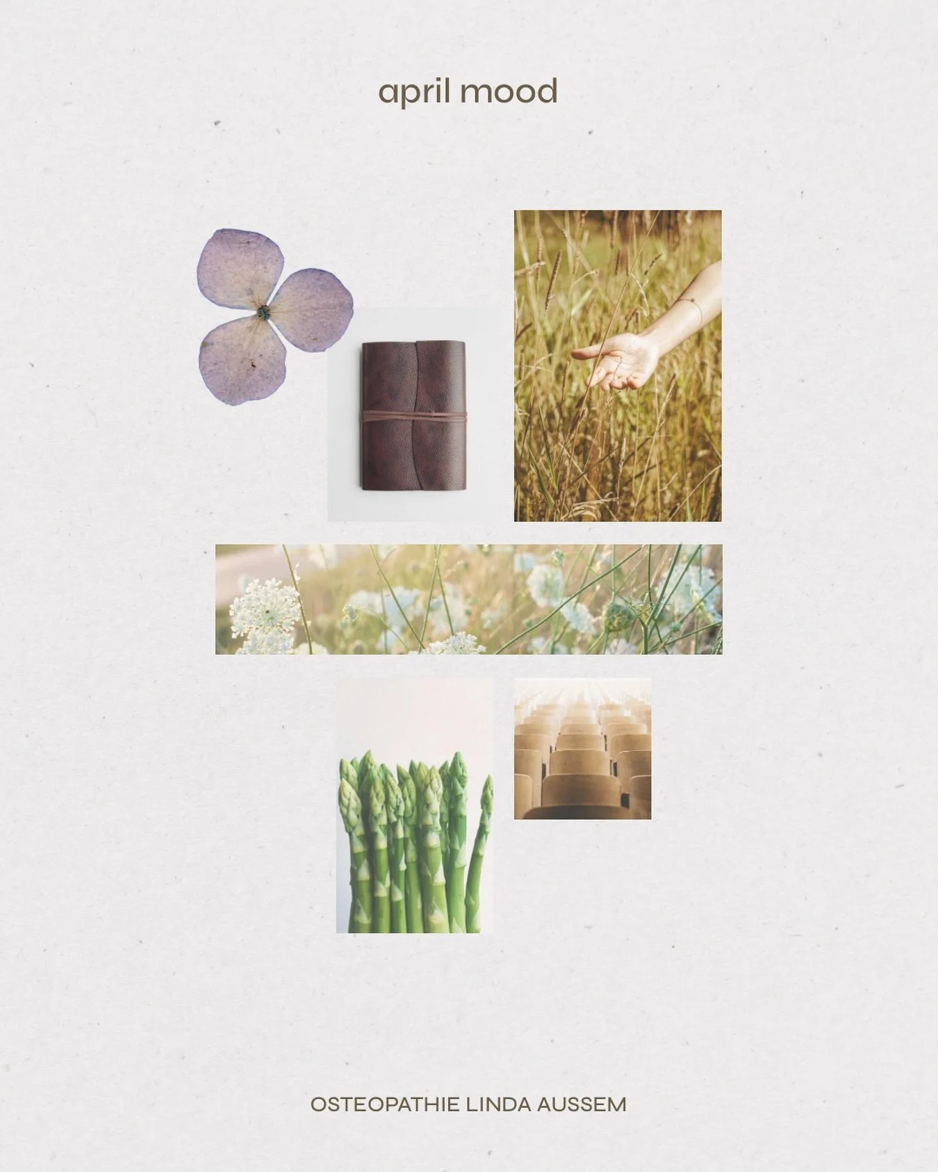 hej april. 

Ich schaue zur&uuml;ck auf die letzten 4 Wochen und ich schaue nach vorne in den n&auml;chsten Monat. Gef&uuml;llt mit dem Erwachen der Natur, in der Erde graben, neuem Wissen, neuen Orten und so vielen sch&ouml;nen Dingen. Ah und Sparge