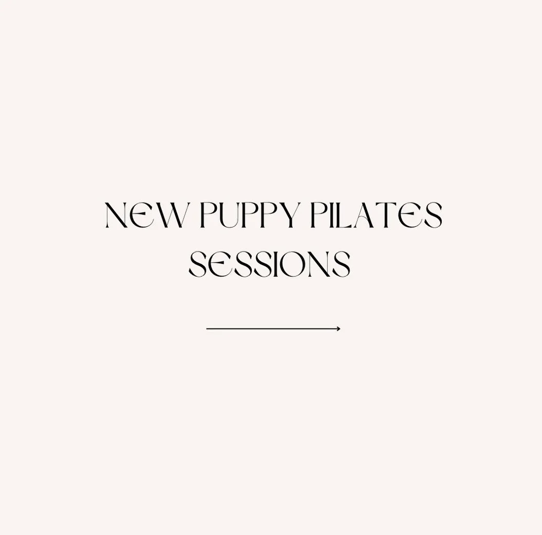 The cutest Miniature Dachshund puppies are coming to the Gold Coast this festive season! 🎄🎁🐶

Grab your tickets fast, you don&rsquo;t want to miss out! 🤍