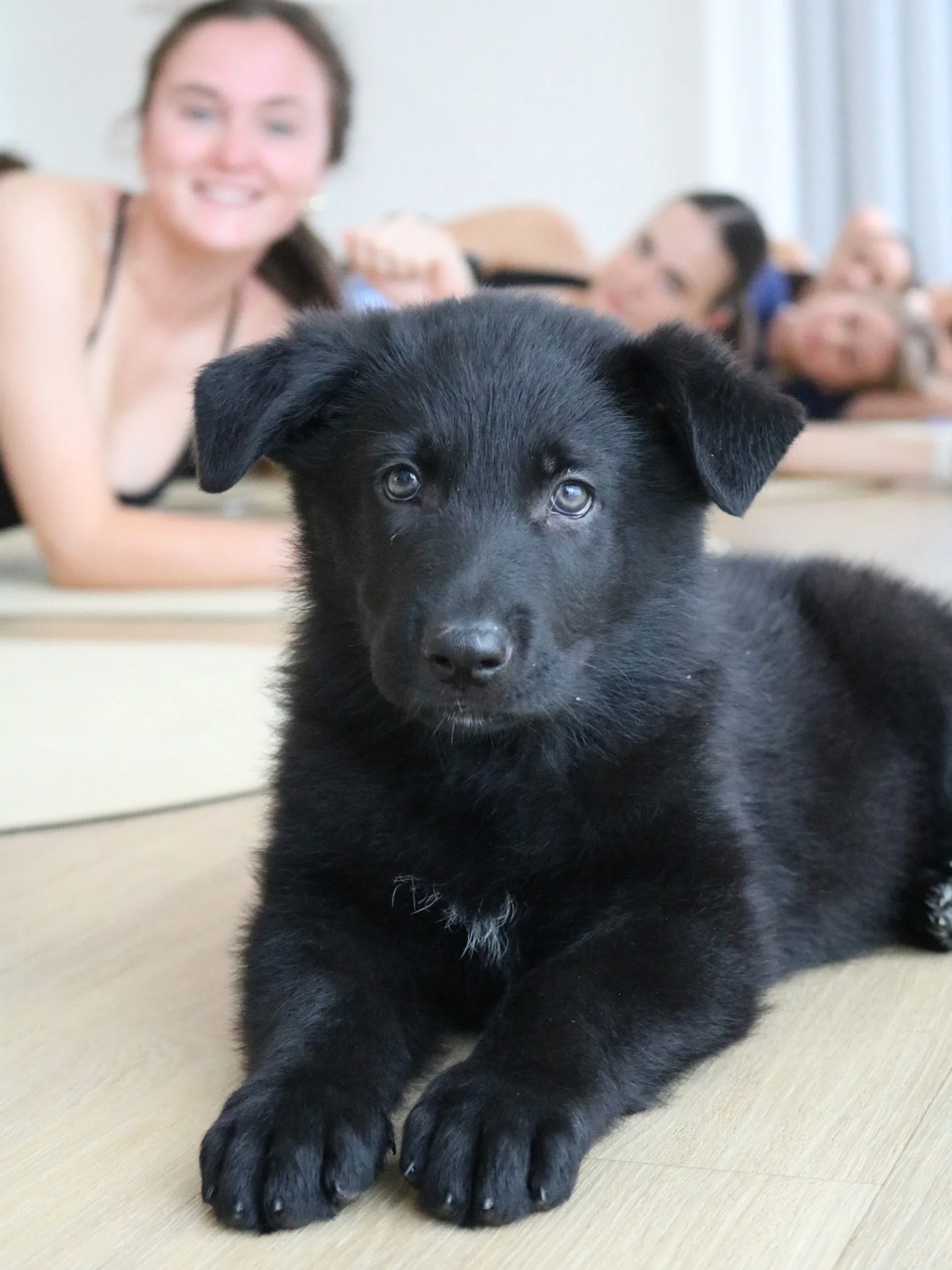Capturing all those puppy yawns 🥱😆