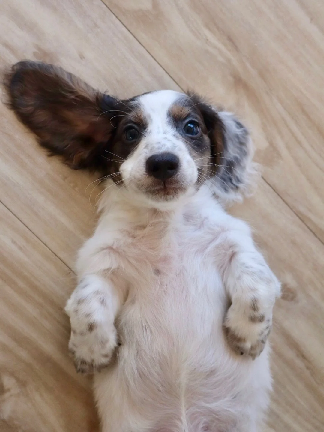 We are dying over this cuteness! 🙈🤩🥹